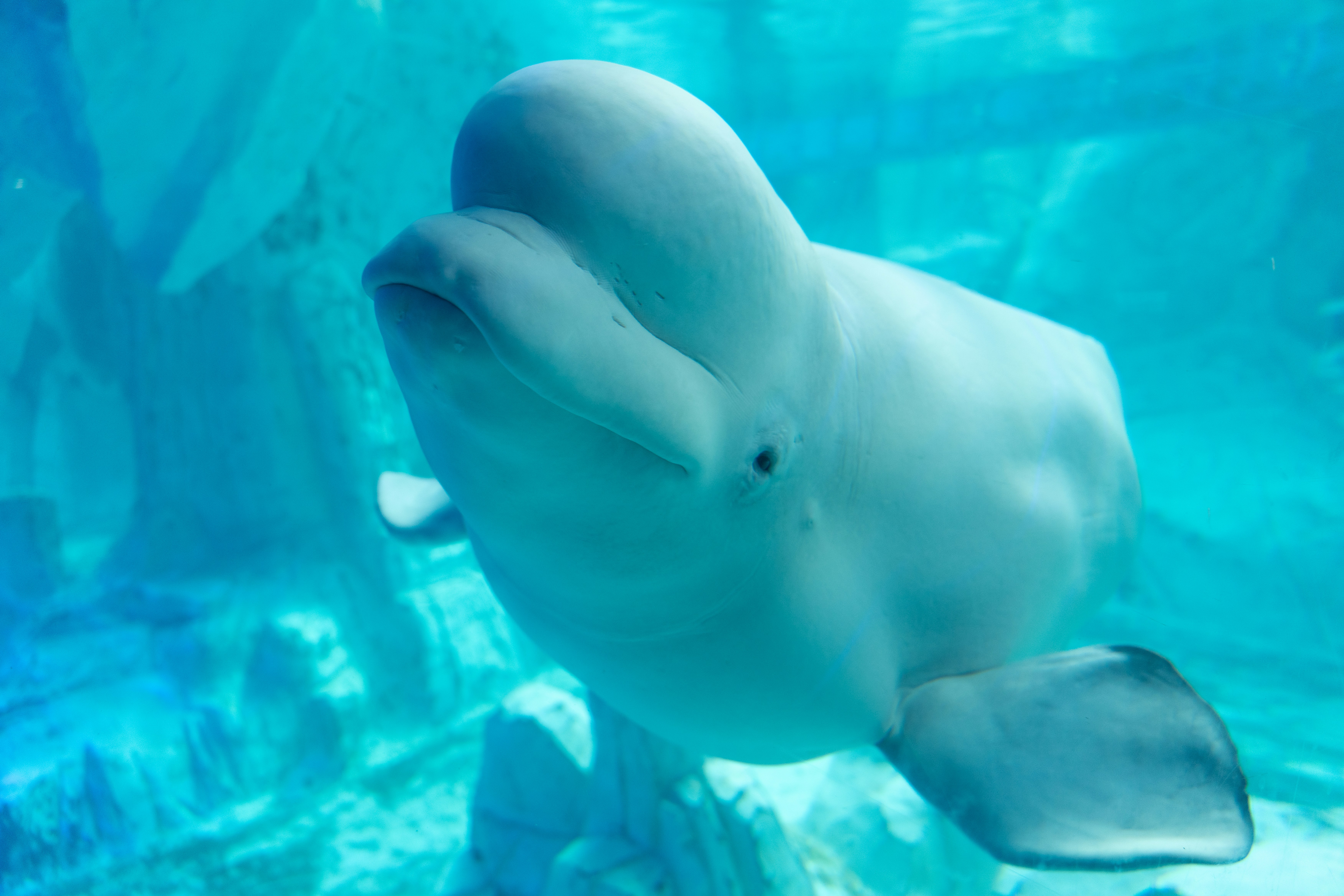 Photo by raphael_nicolas