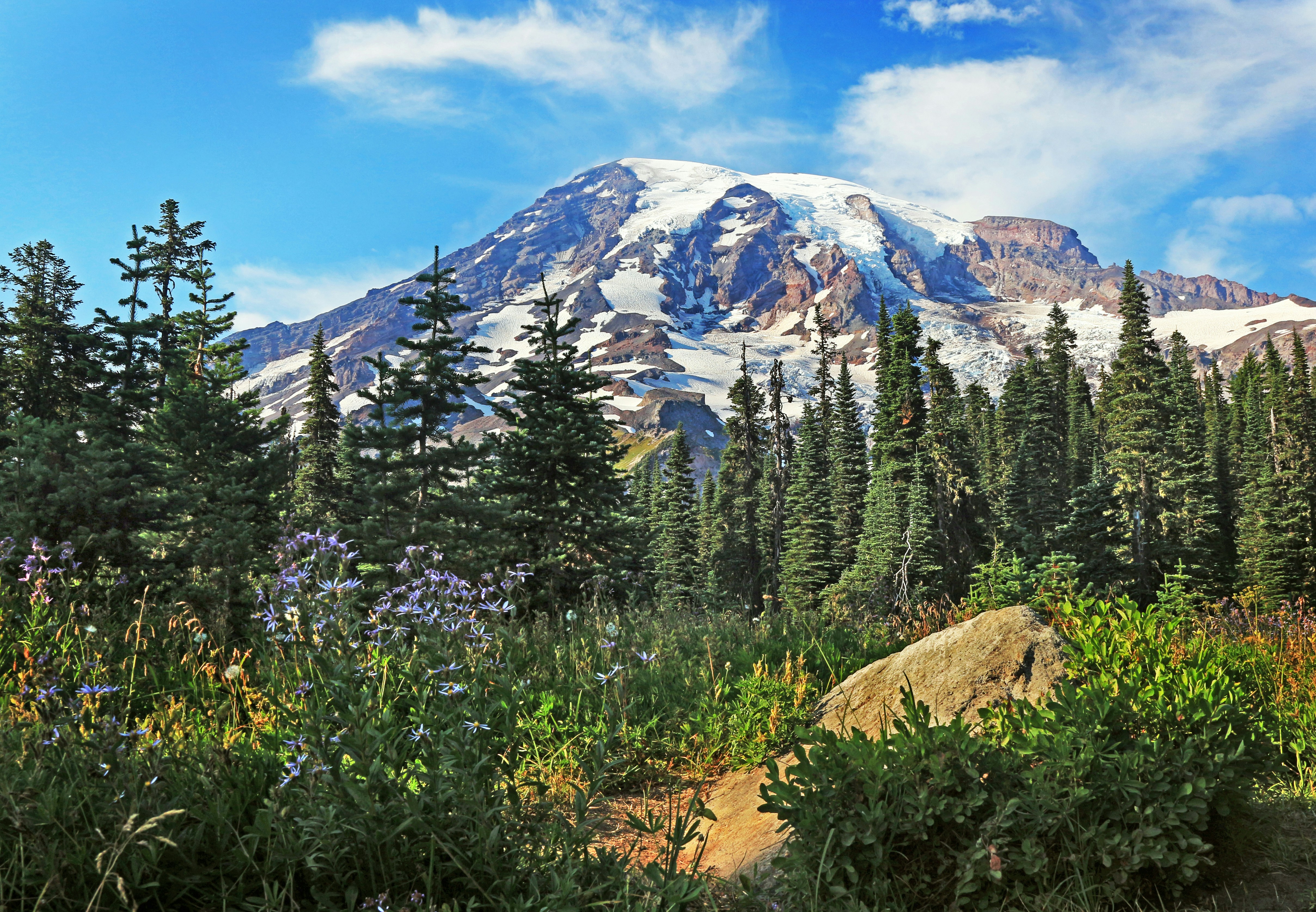 Elevate Your Outdoor Experience: High-End Camping Gear Worth the Investment