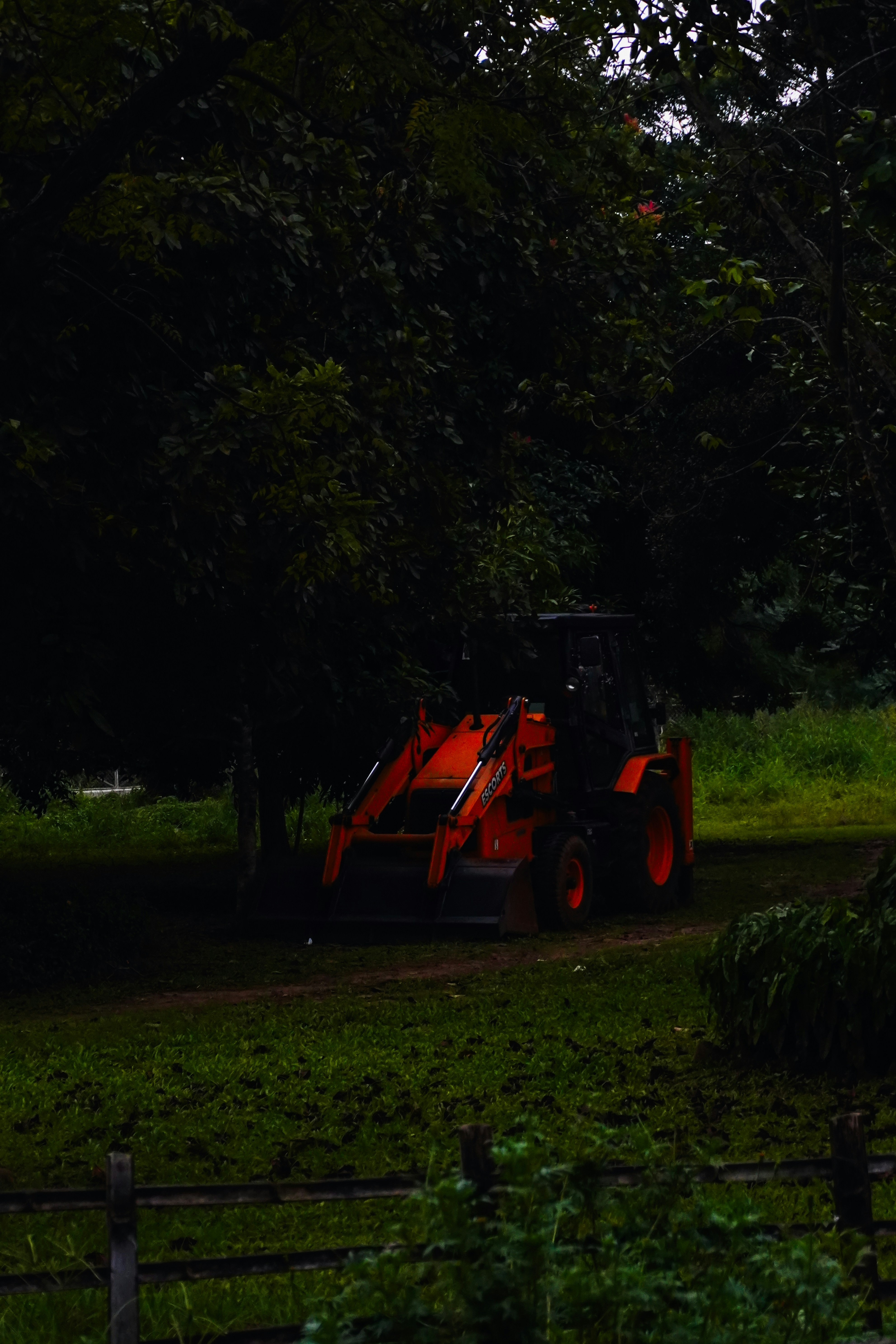 Orange tractor parked in a grassy field.