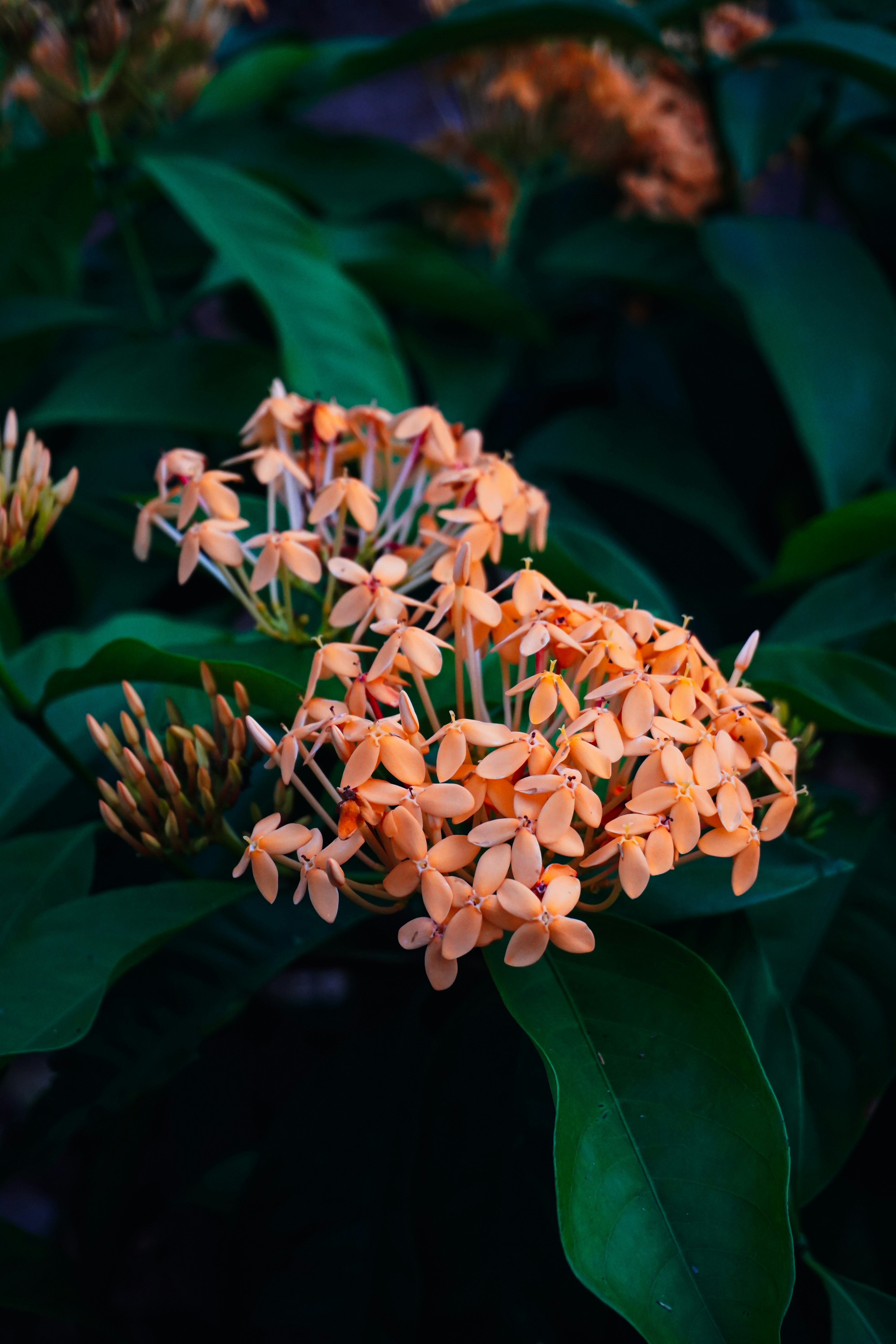 Photo by adhitya_2505