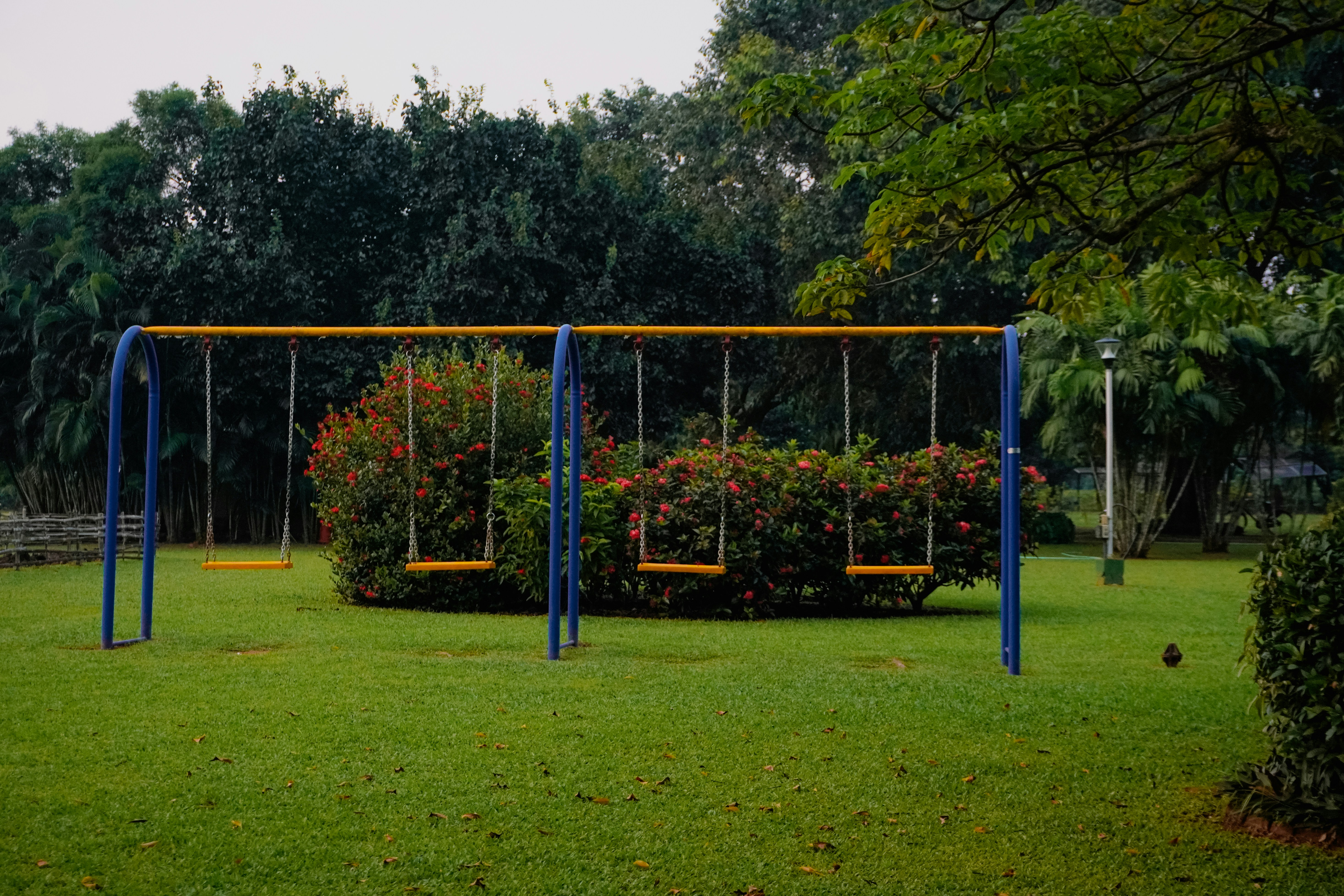Un columpio en un parque cubierto de hierba con árboles.