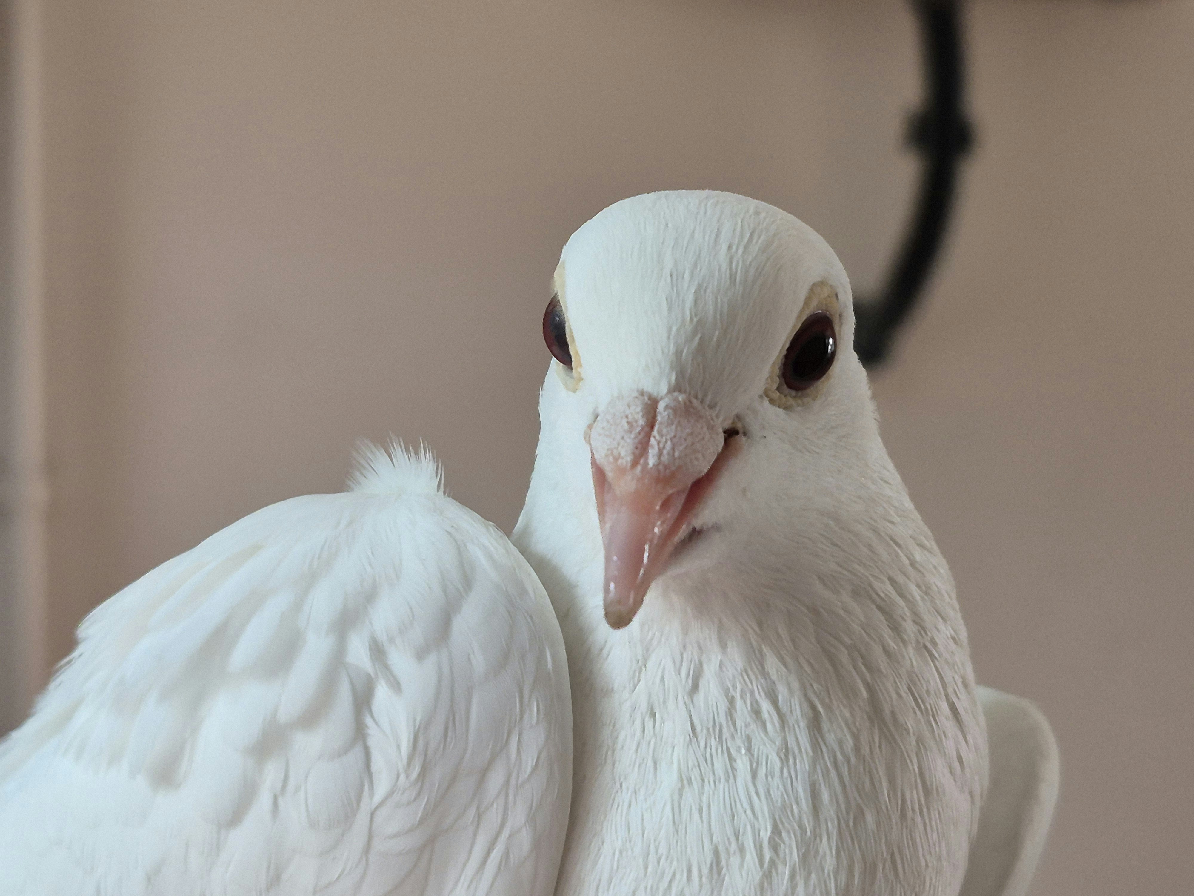 Photo by floatingfish8