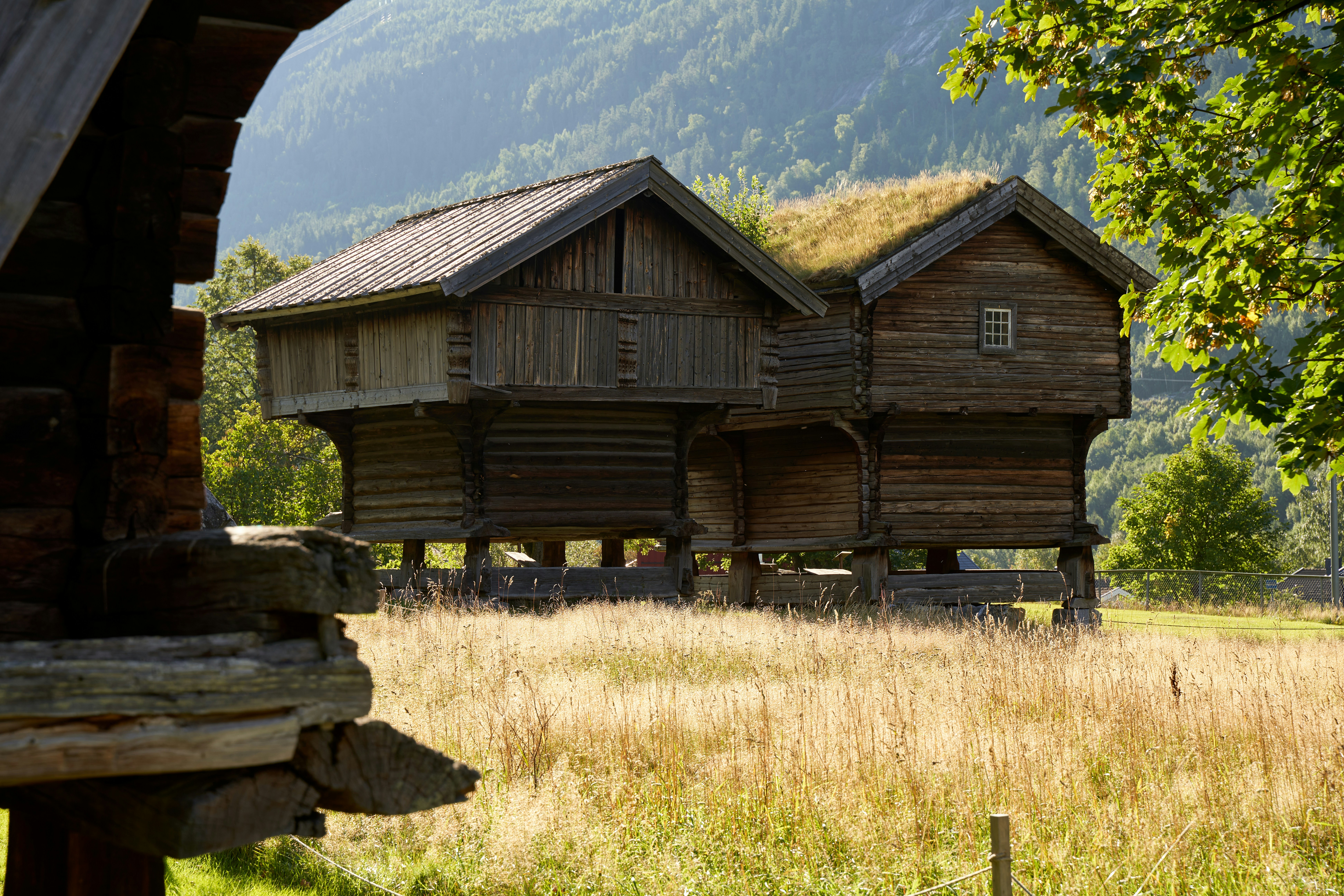 Photo by davotibarna