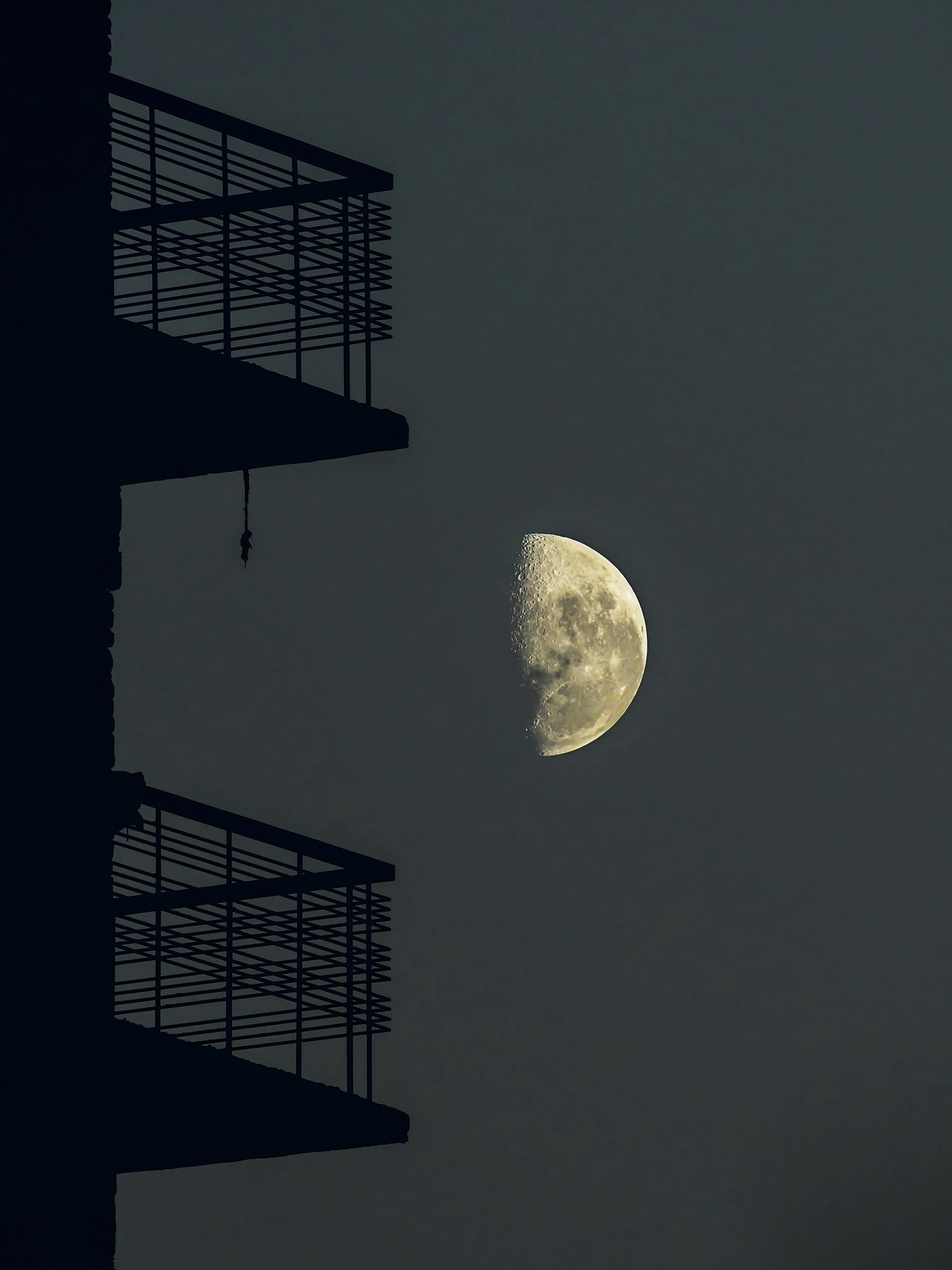 Photo by muhammad_sharifuz