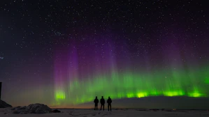 Three people watch the aurora borealis at night.