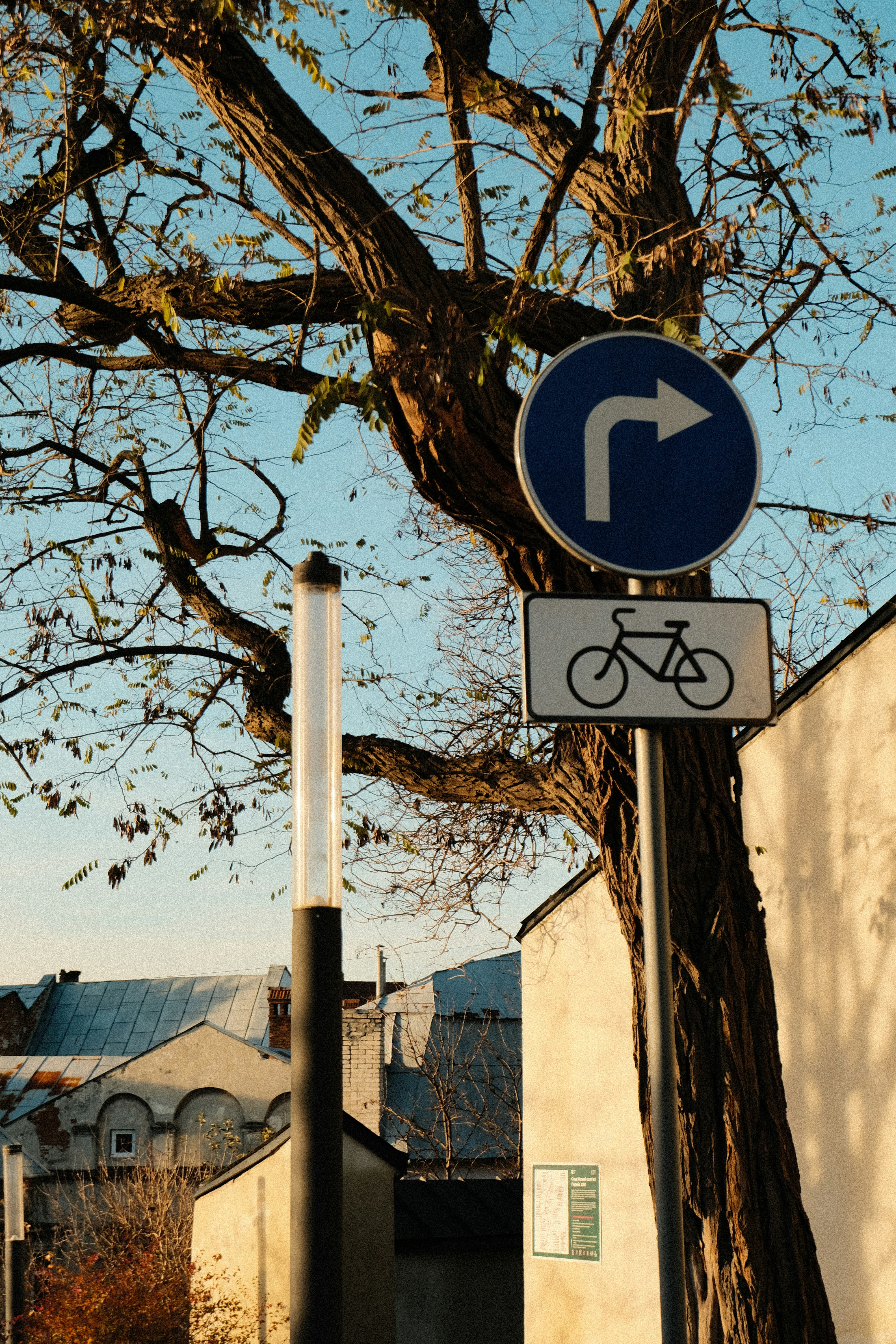 Photo by inna_yashna