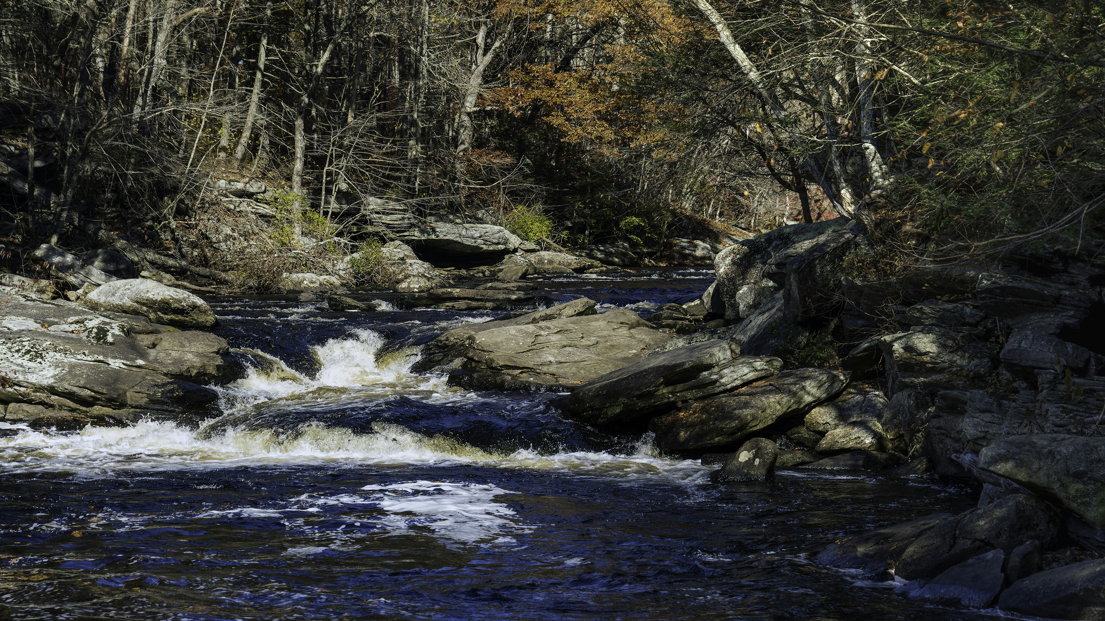 A stream flows over rocks in a wooded area.