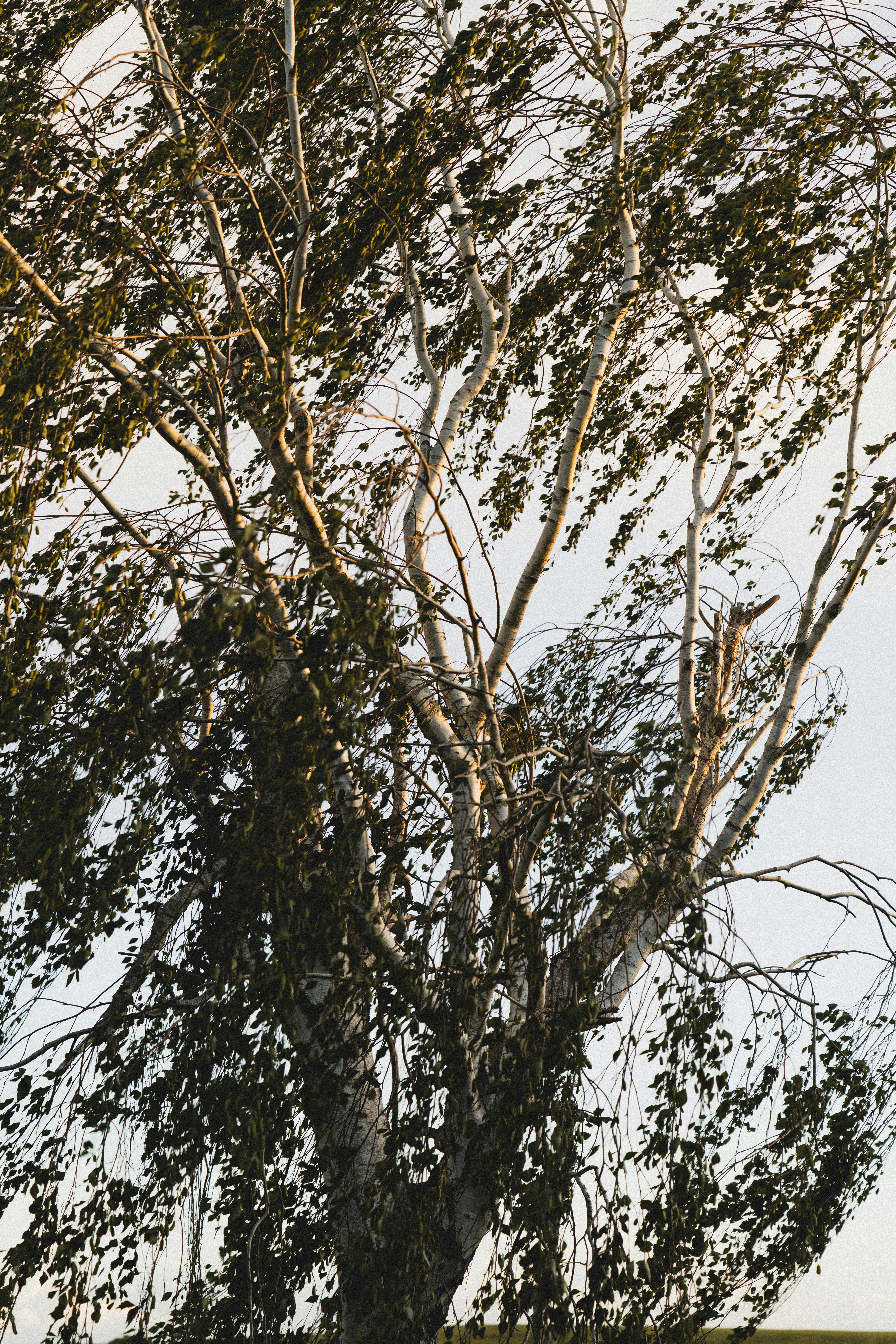 Photo by eden_tuaine