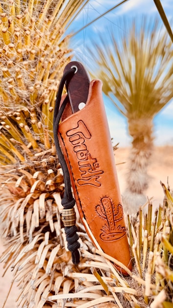 7 Best Survival Knives for Bushcraft Camping in 2025