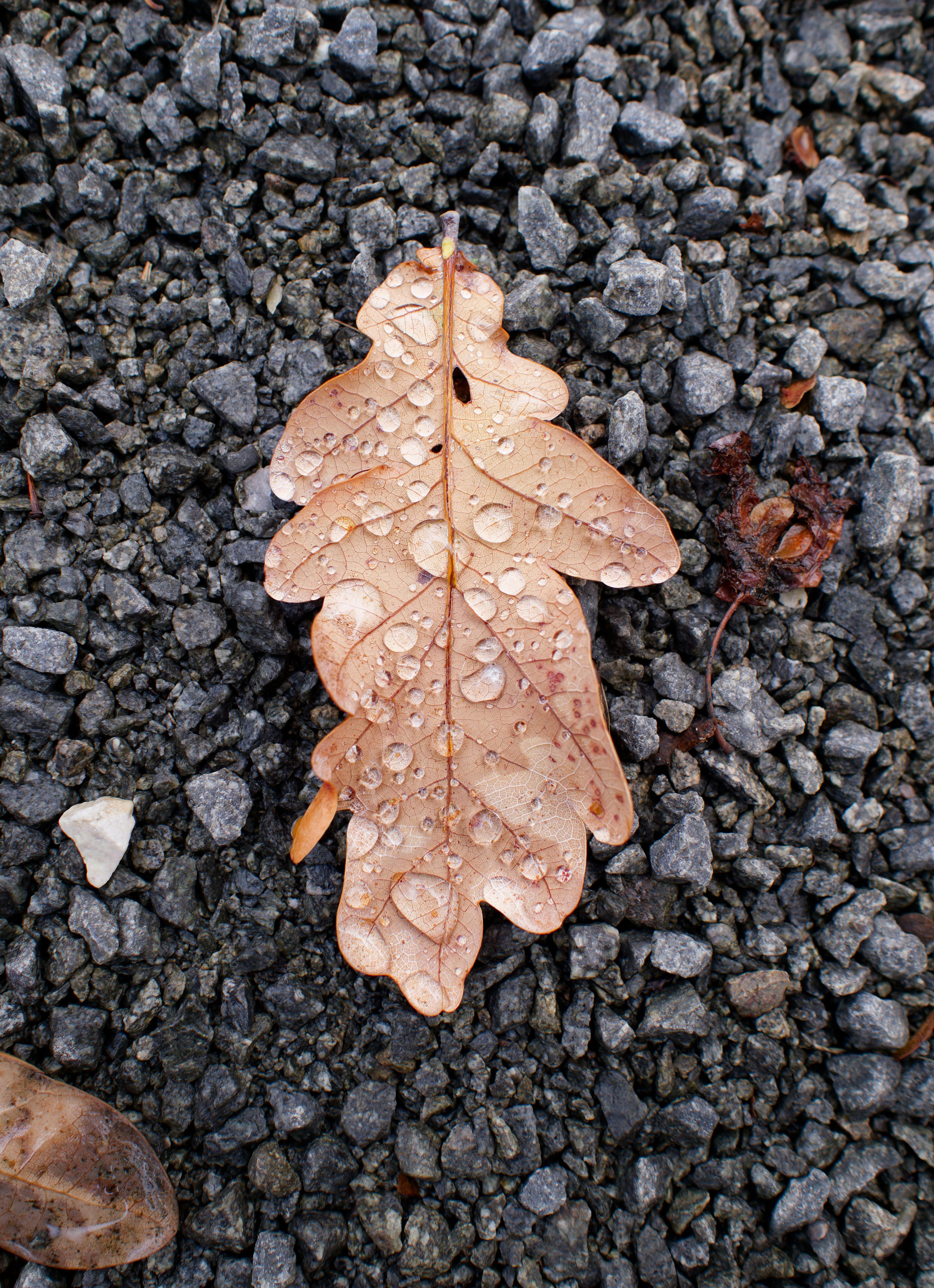 Photo by illes_cristi