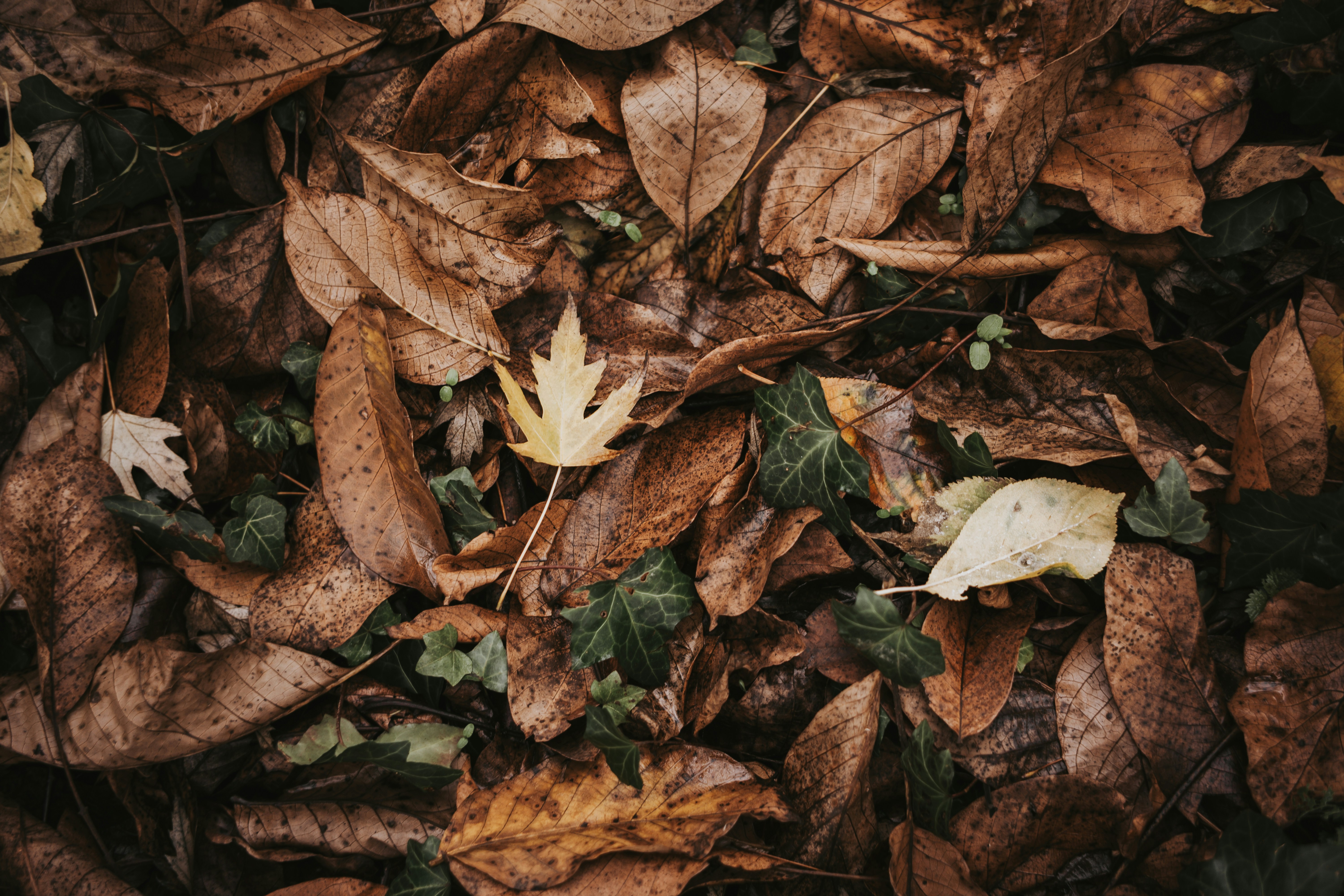 Photo by annaspoljar