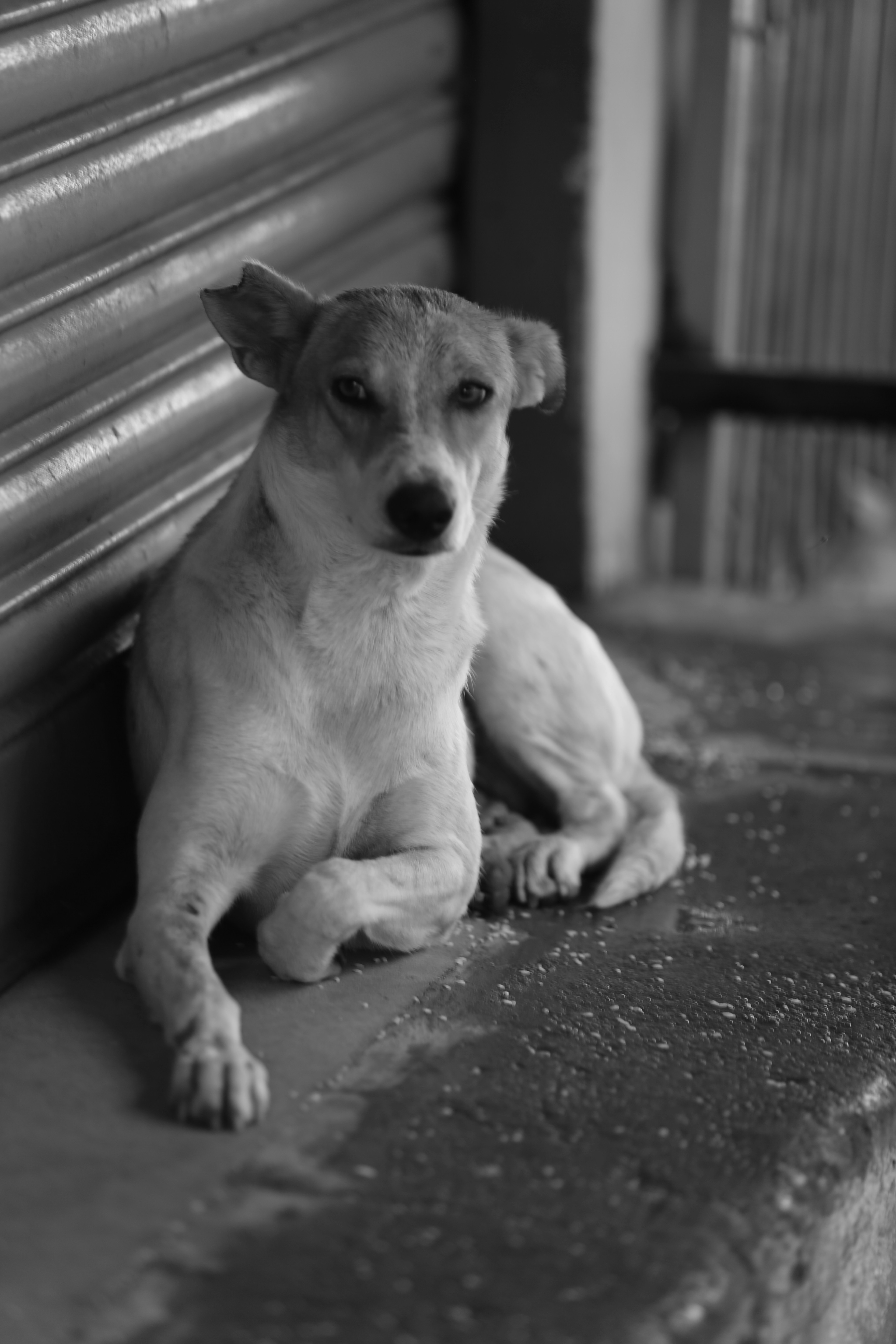 Photo by sujeethpotla