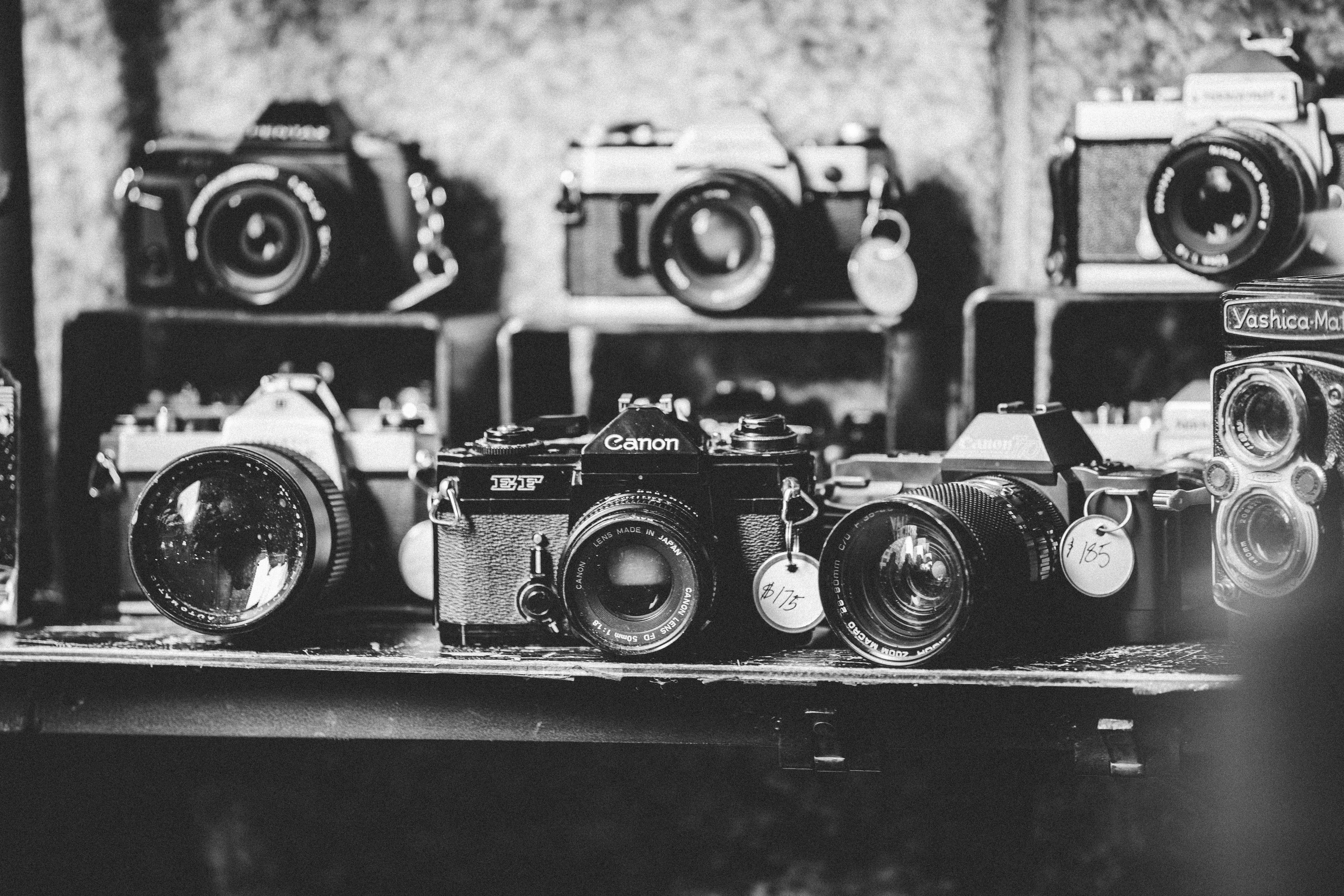 Sammlung von Vintage-Kameras, die in einem Regal ausgestellt sind