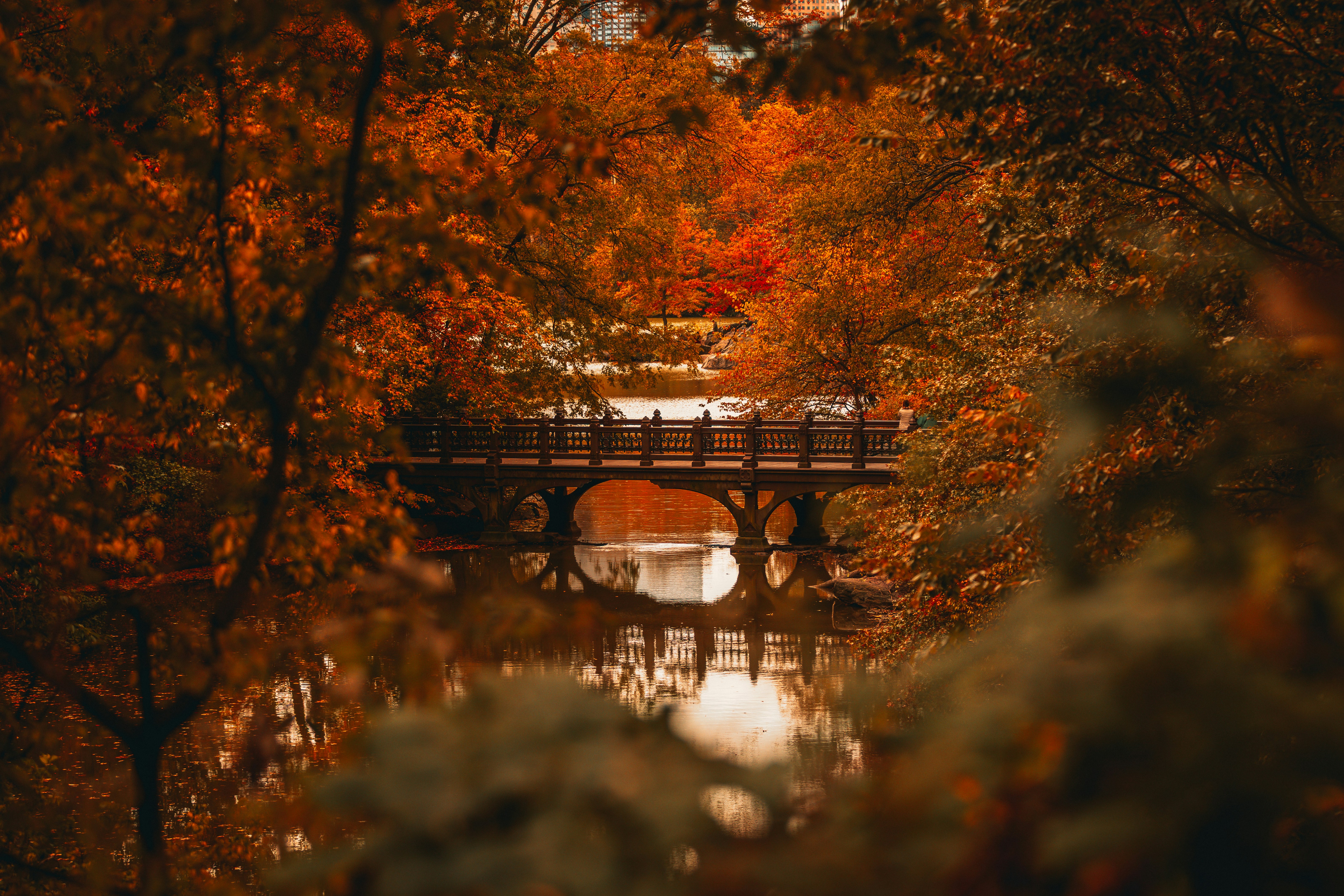 Holzbrücke über Wasser, umgeben von Herbstbäumen