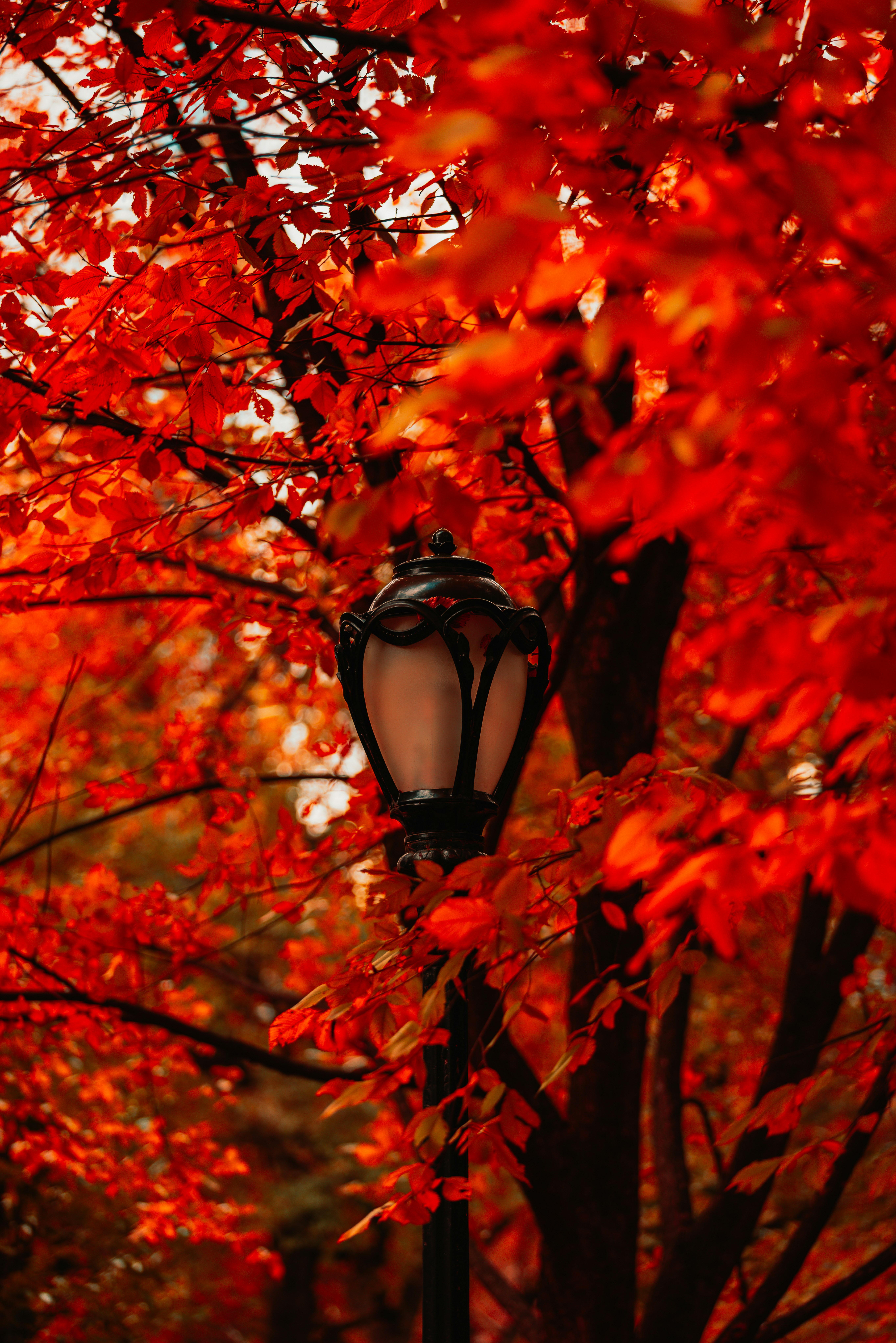 Photo by branden_skeli