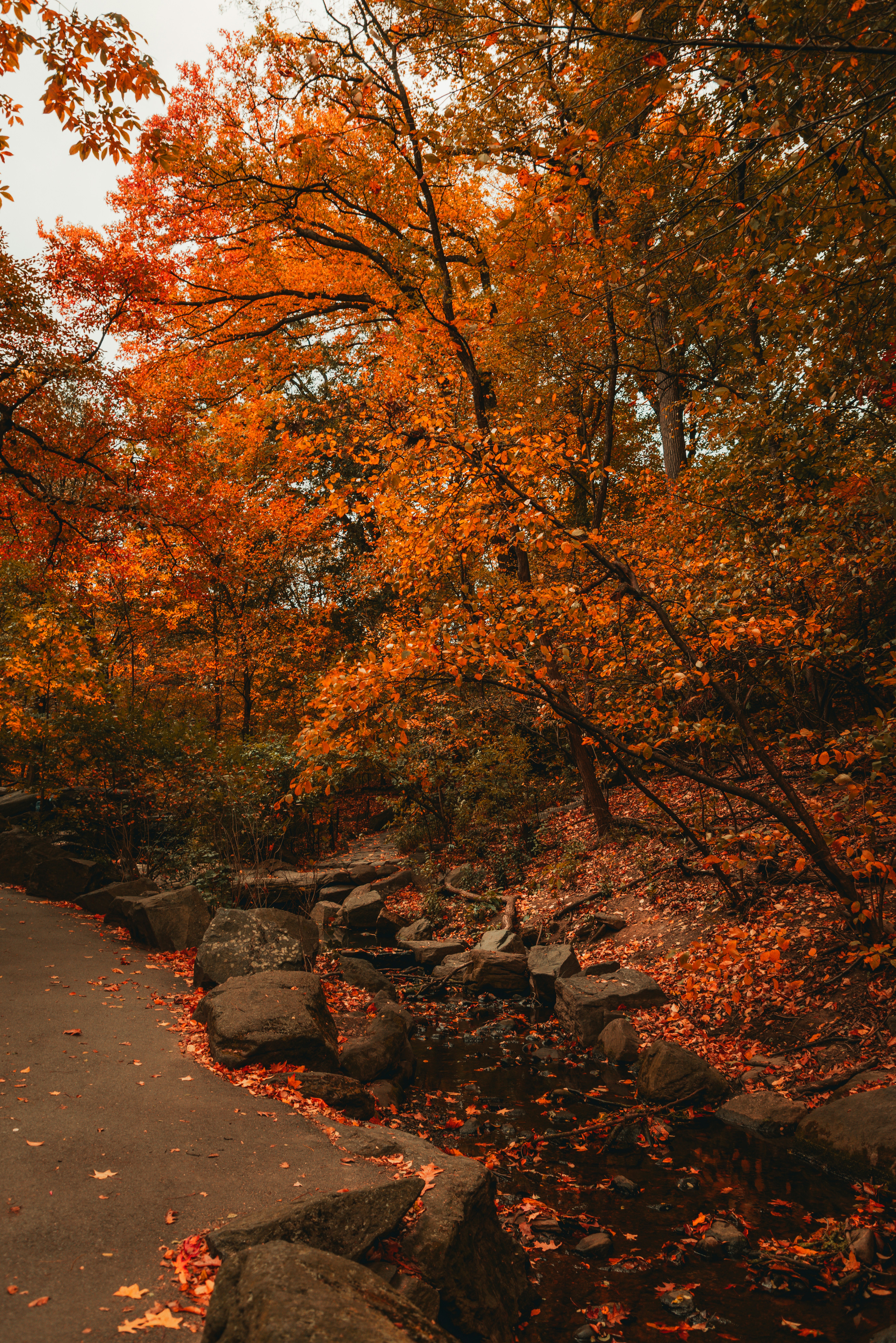 Photo by branden_skeli