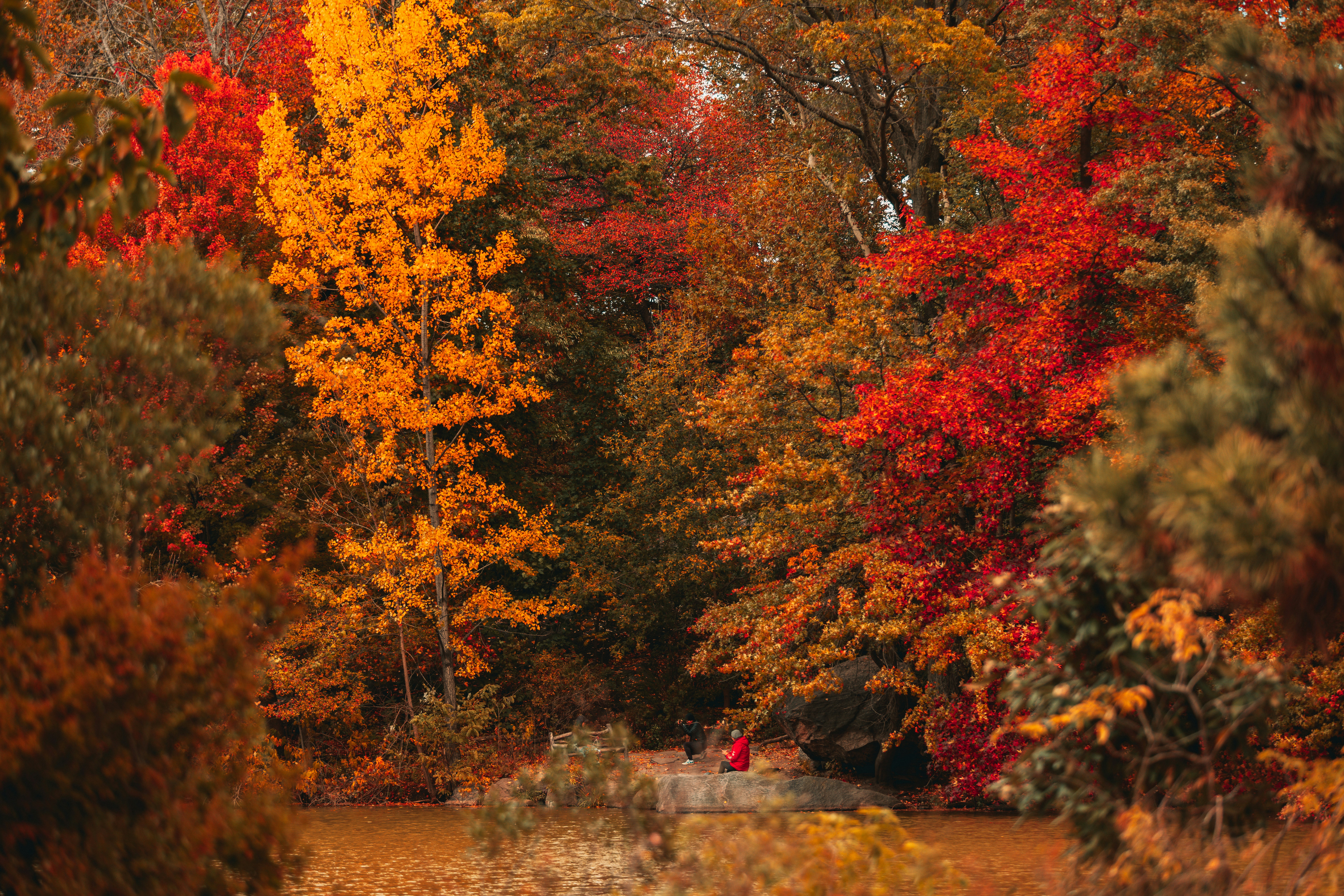 Photo by branden_skeli