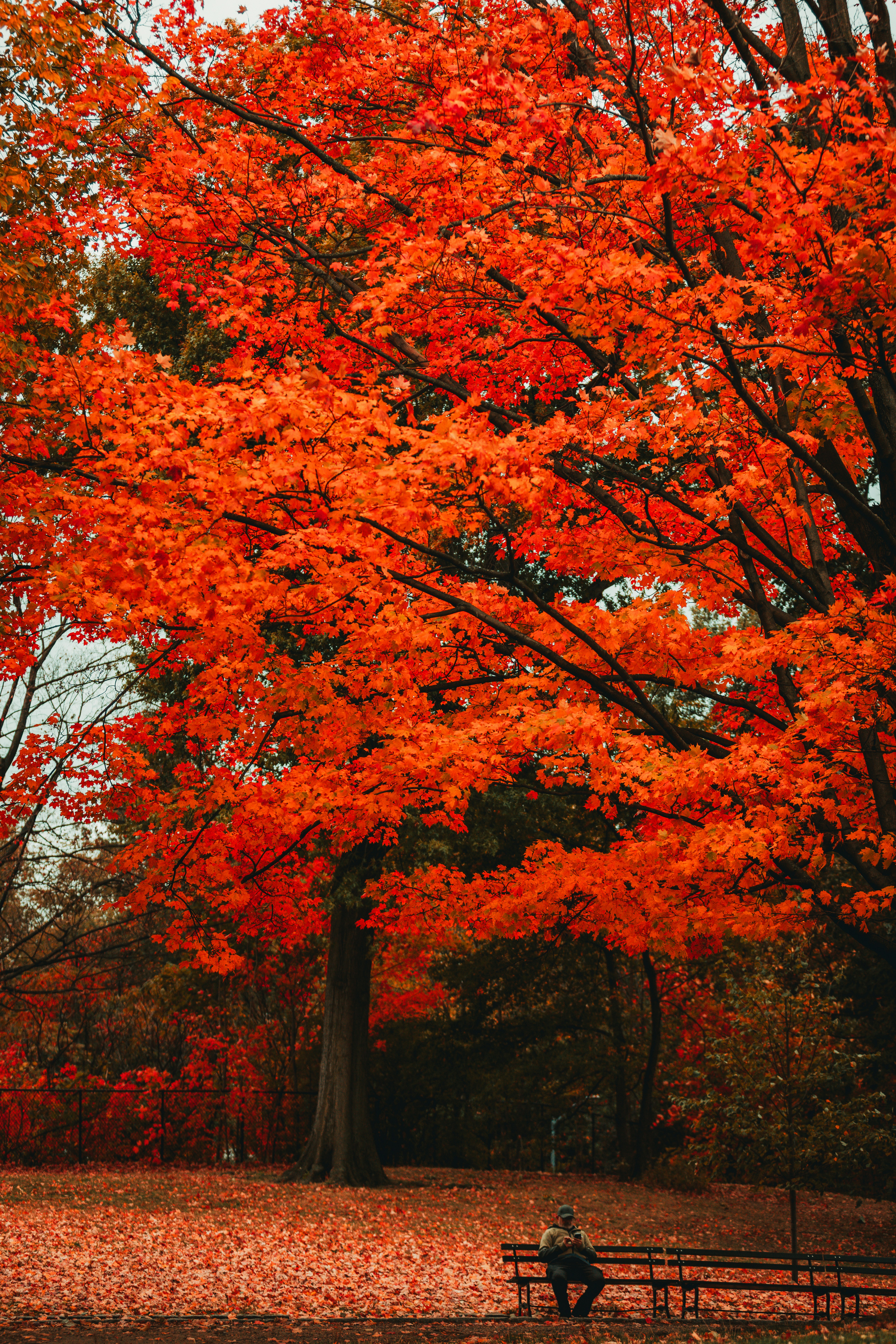 Photo by branden_skeli