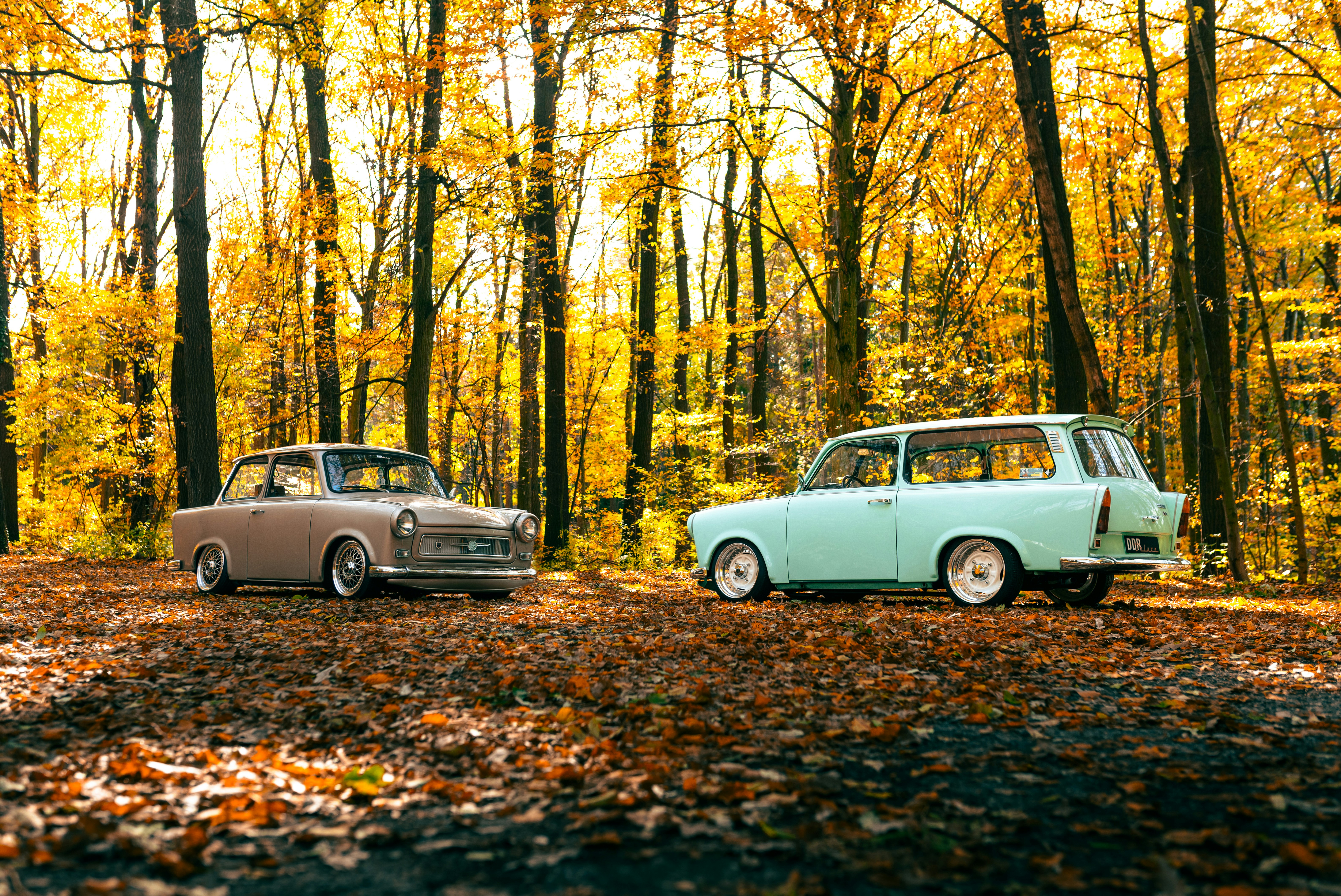 Two vintage cars parked in an autumn forest.