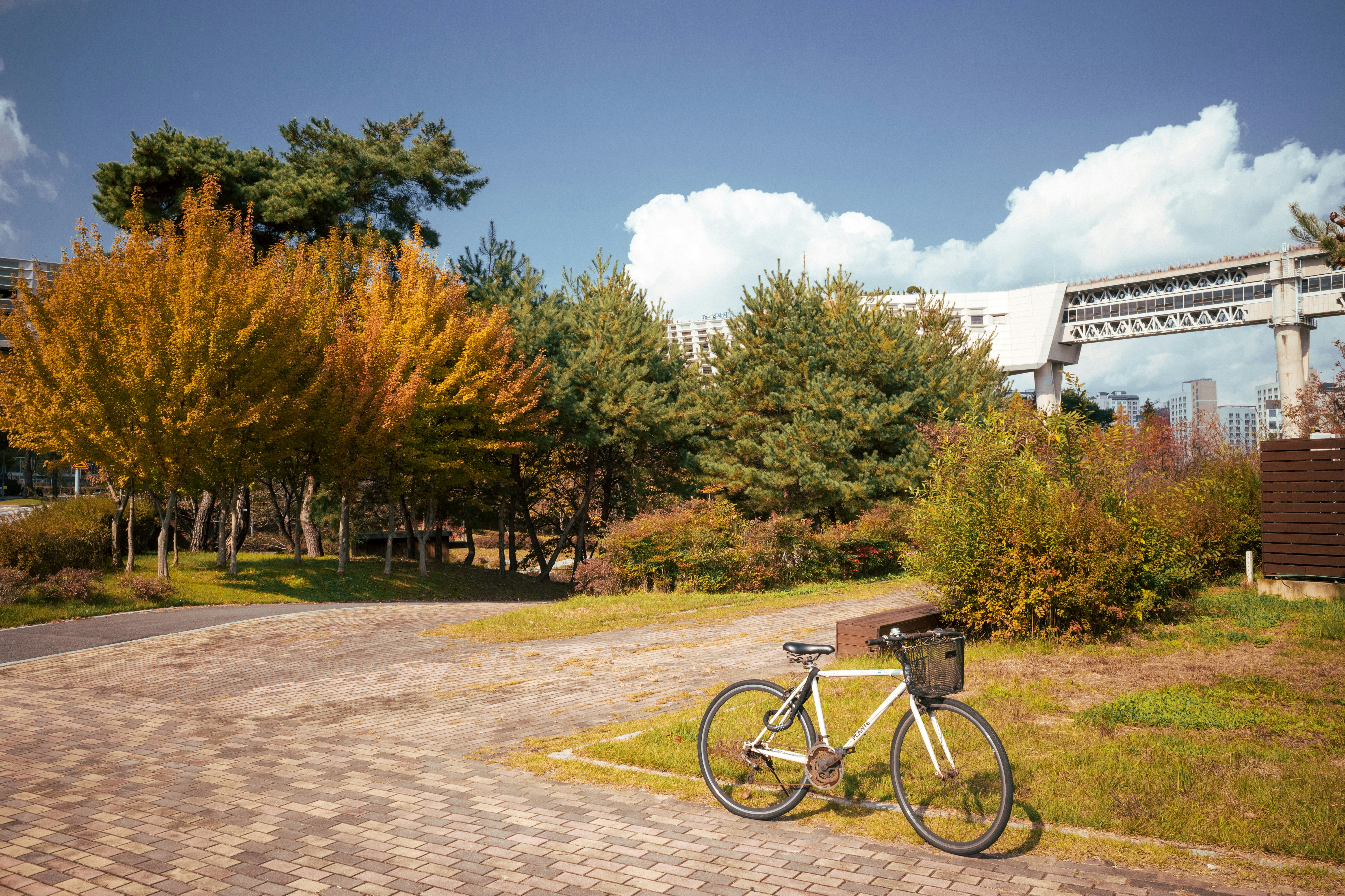 A bicycle parked on a path near trees in autumn.