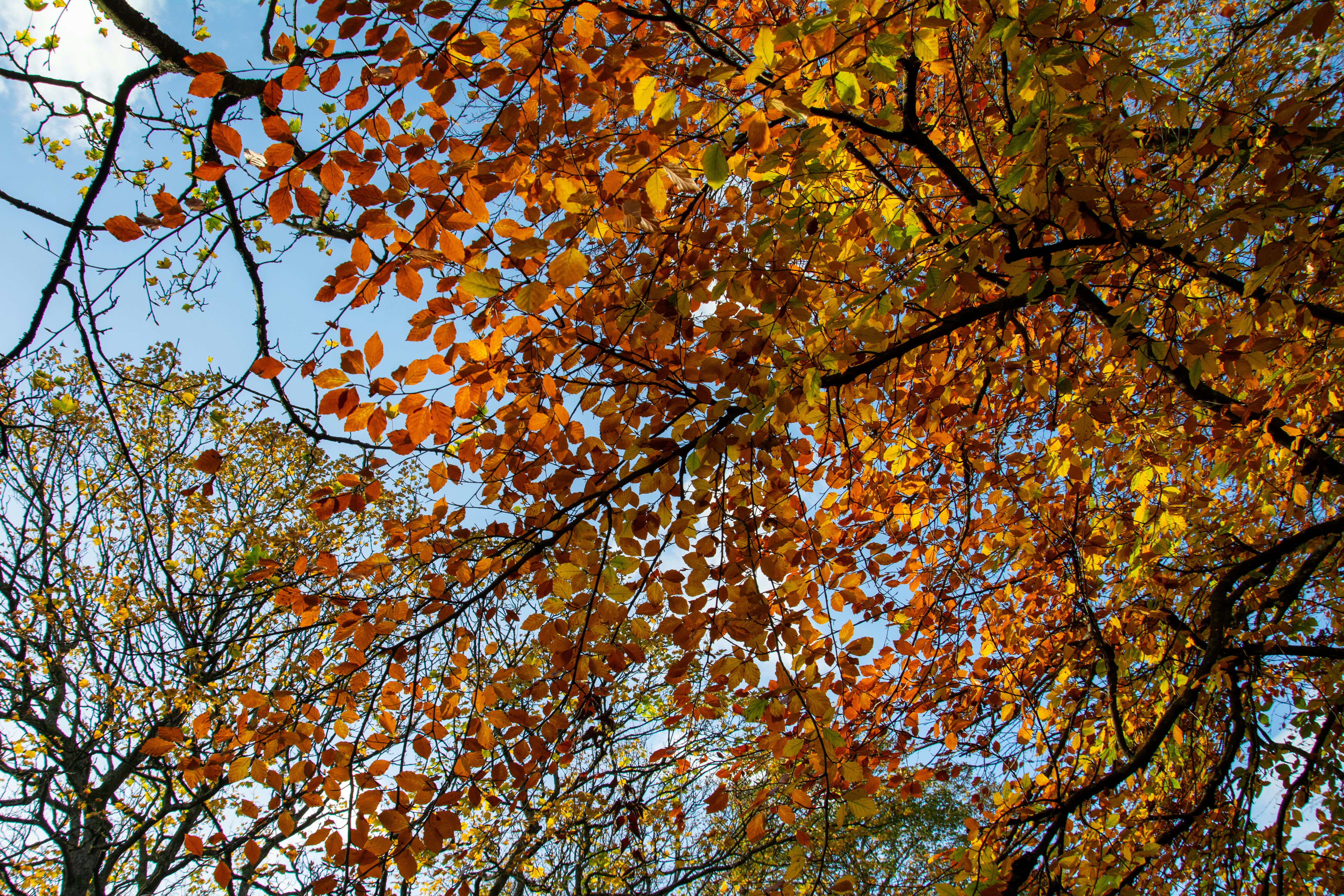 Photo by alexdavidphotos