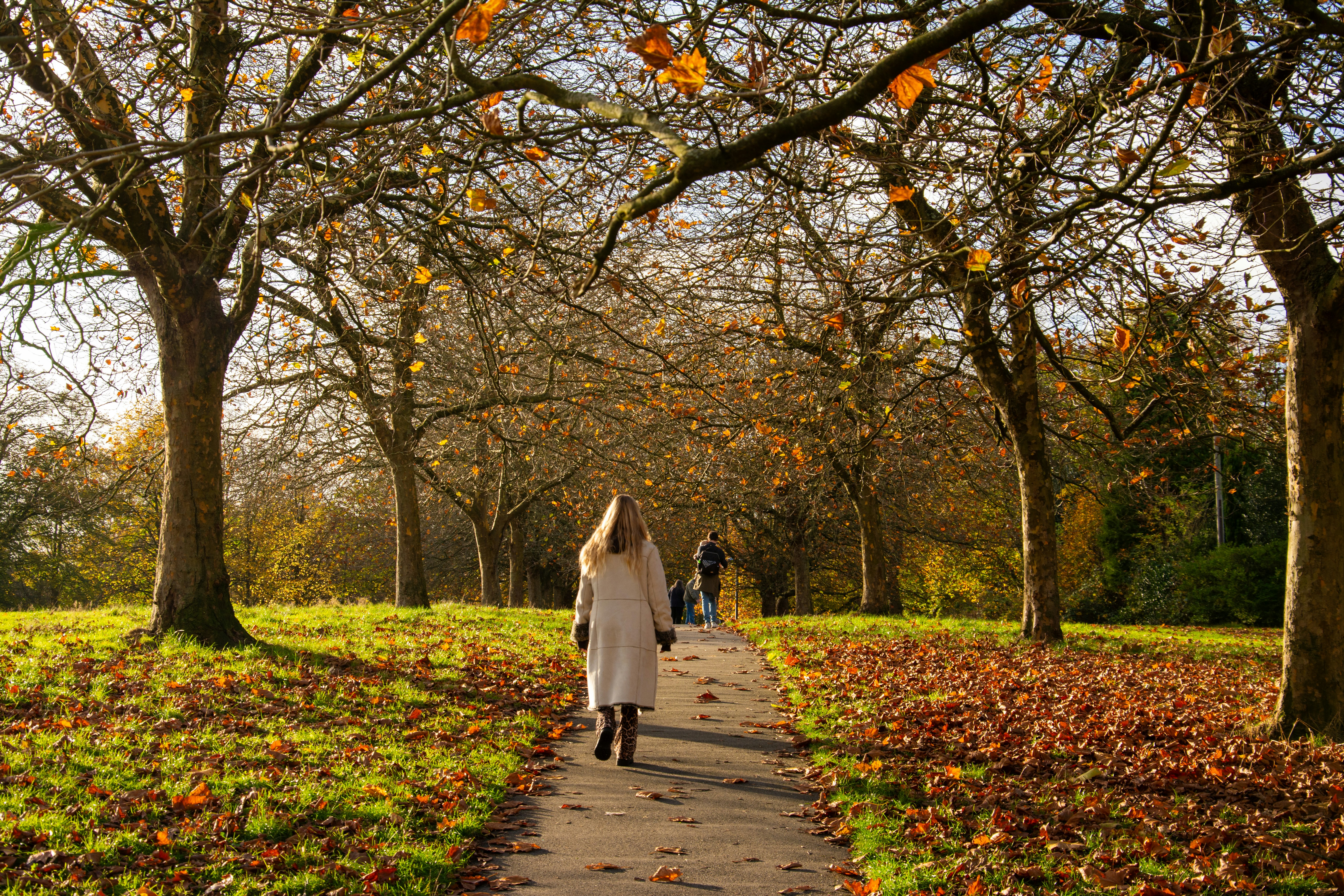 Photo by alexdavidphotos