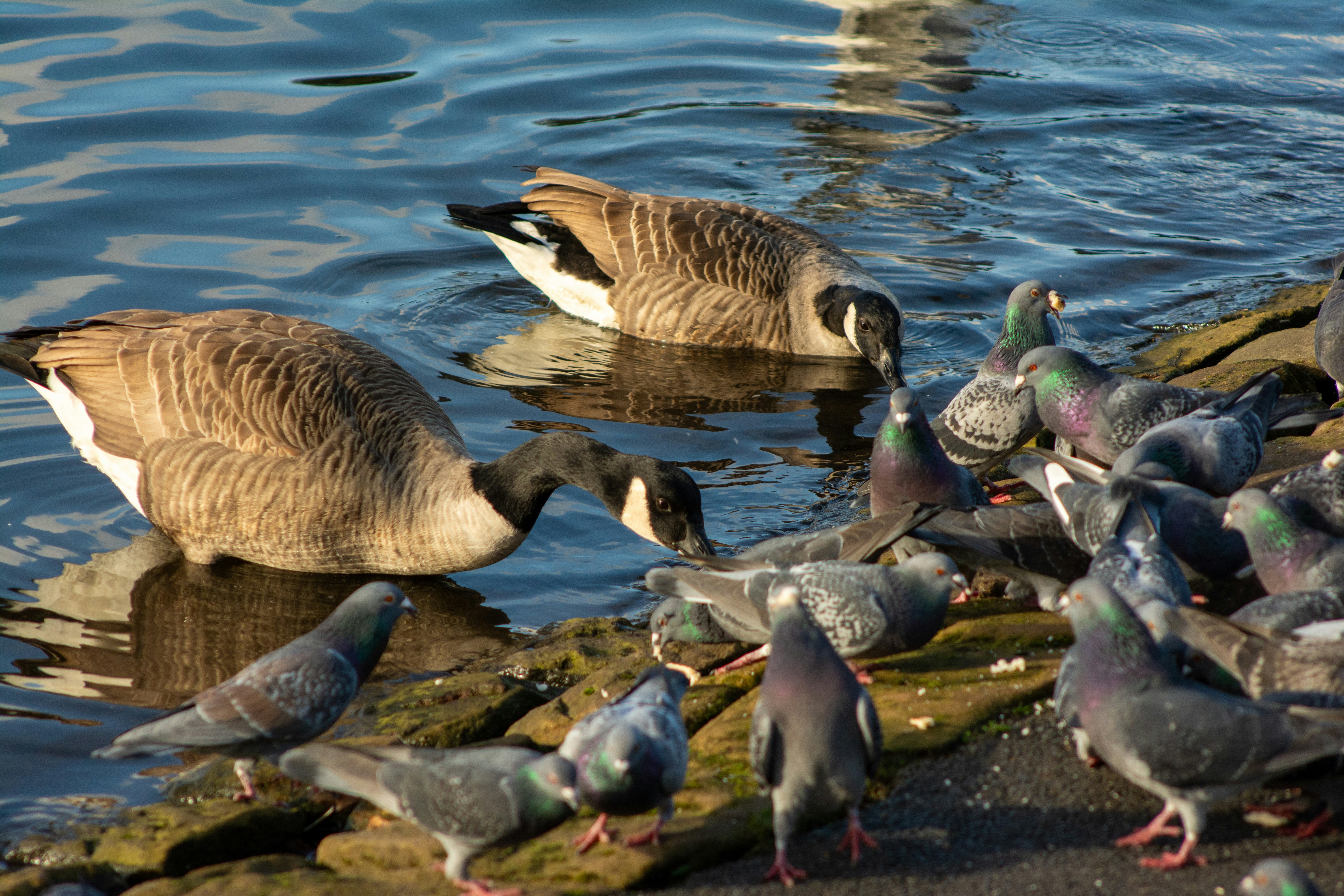 Photo by alexdavidphotos