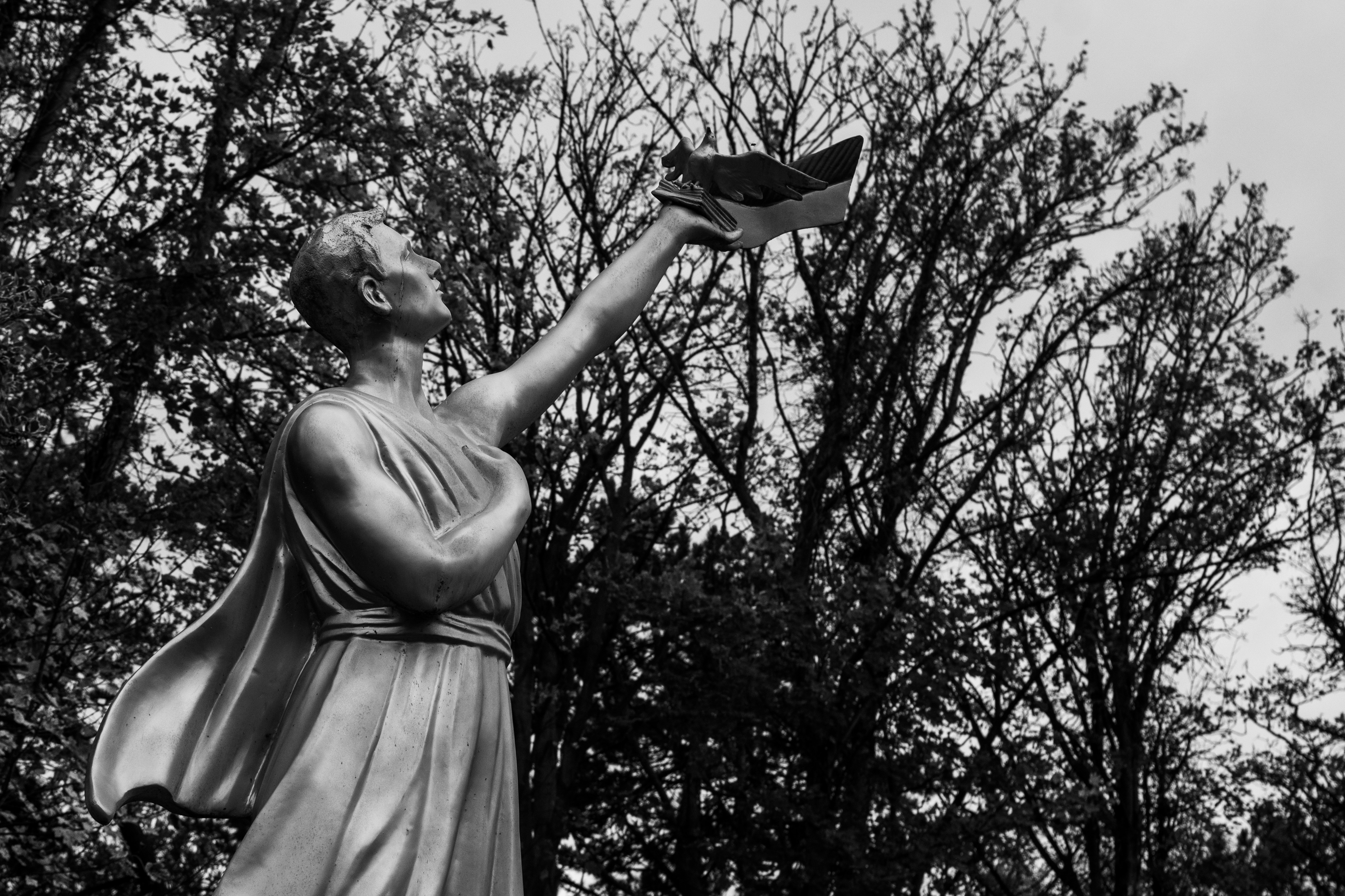 Statue holding an open book against trees