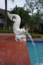 Swimming Pool Maintenance Dubai