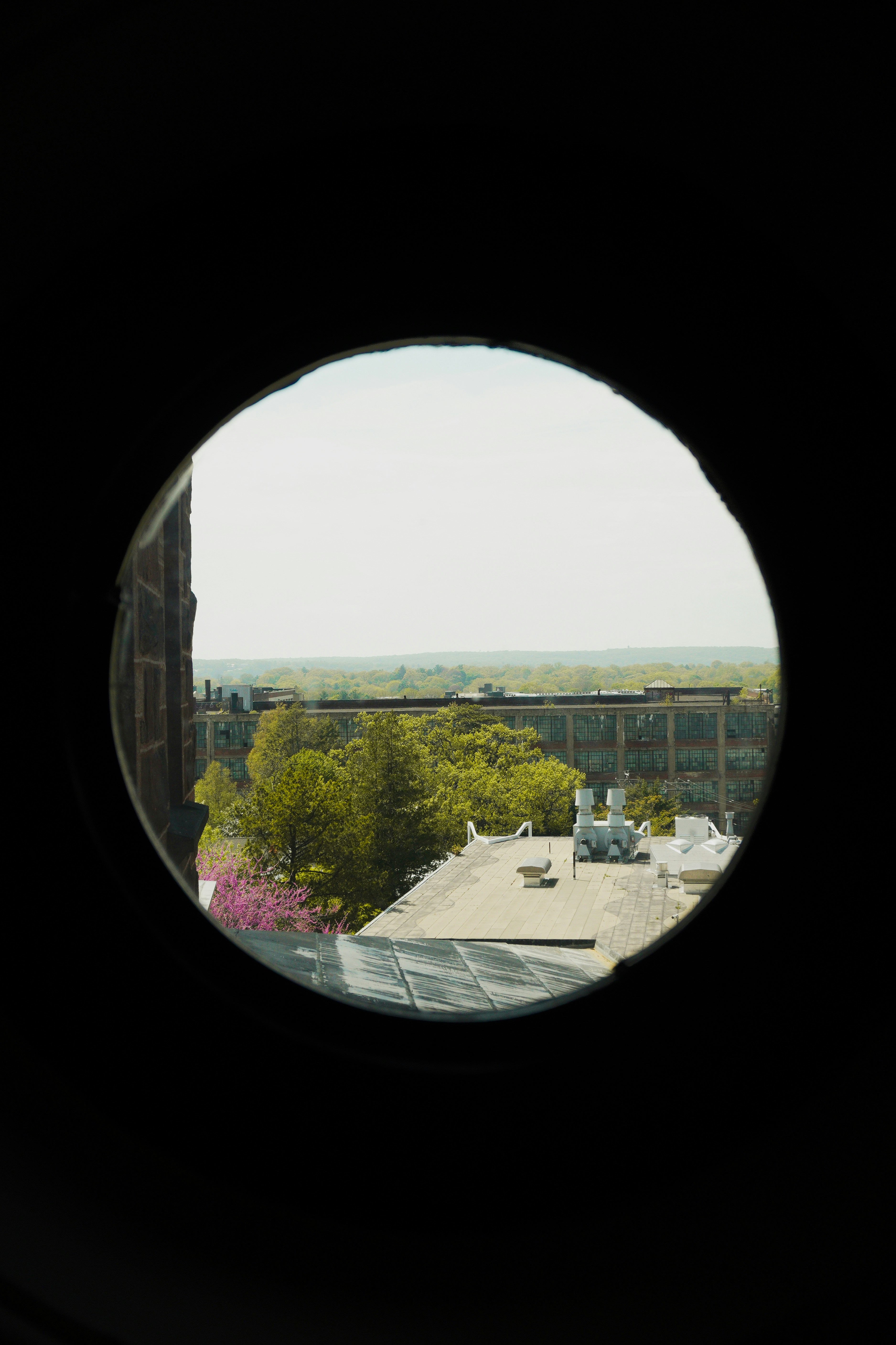 View of buildings and trees through a round window
