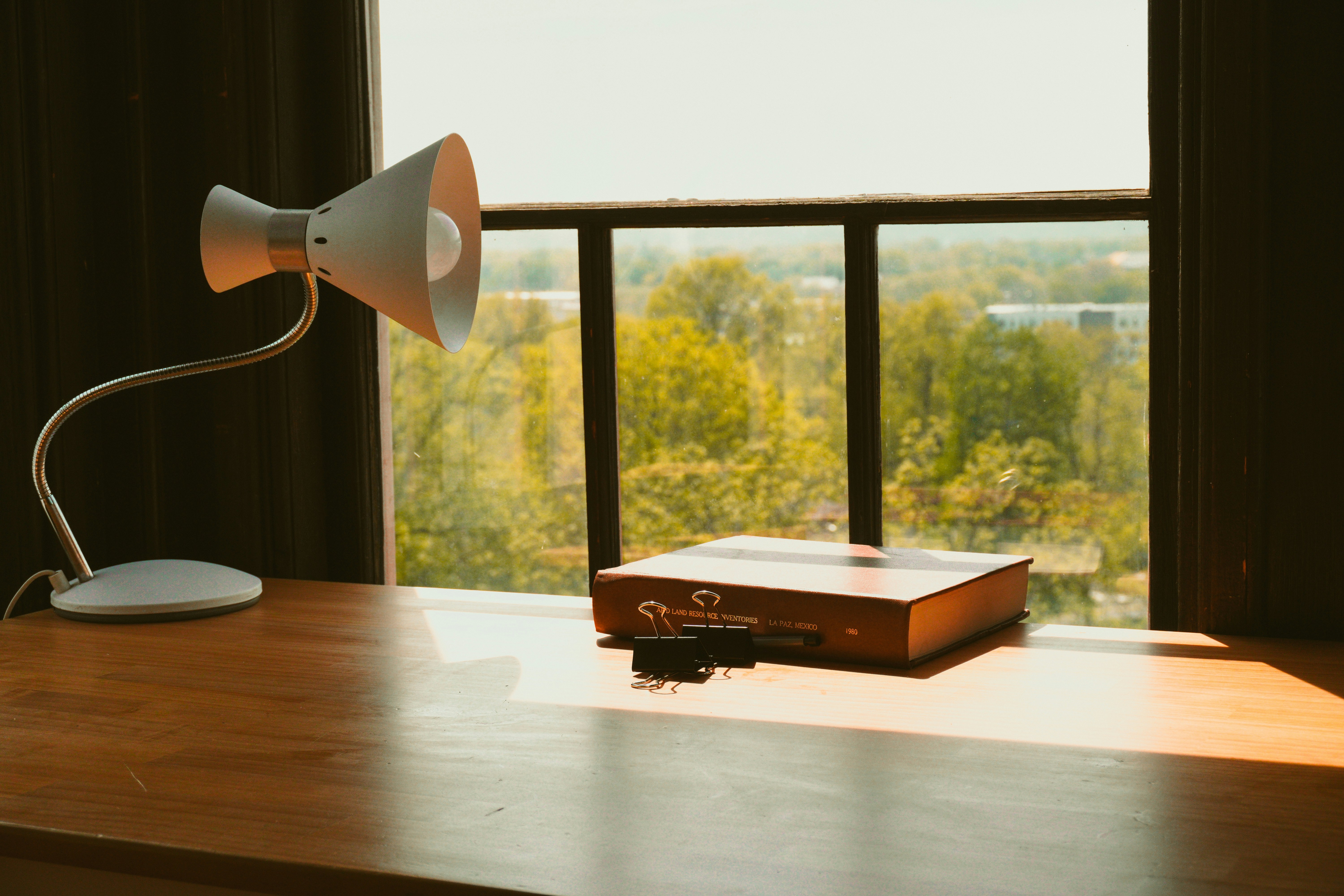 Desk lamp and box on windowsill with trees outside