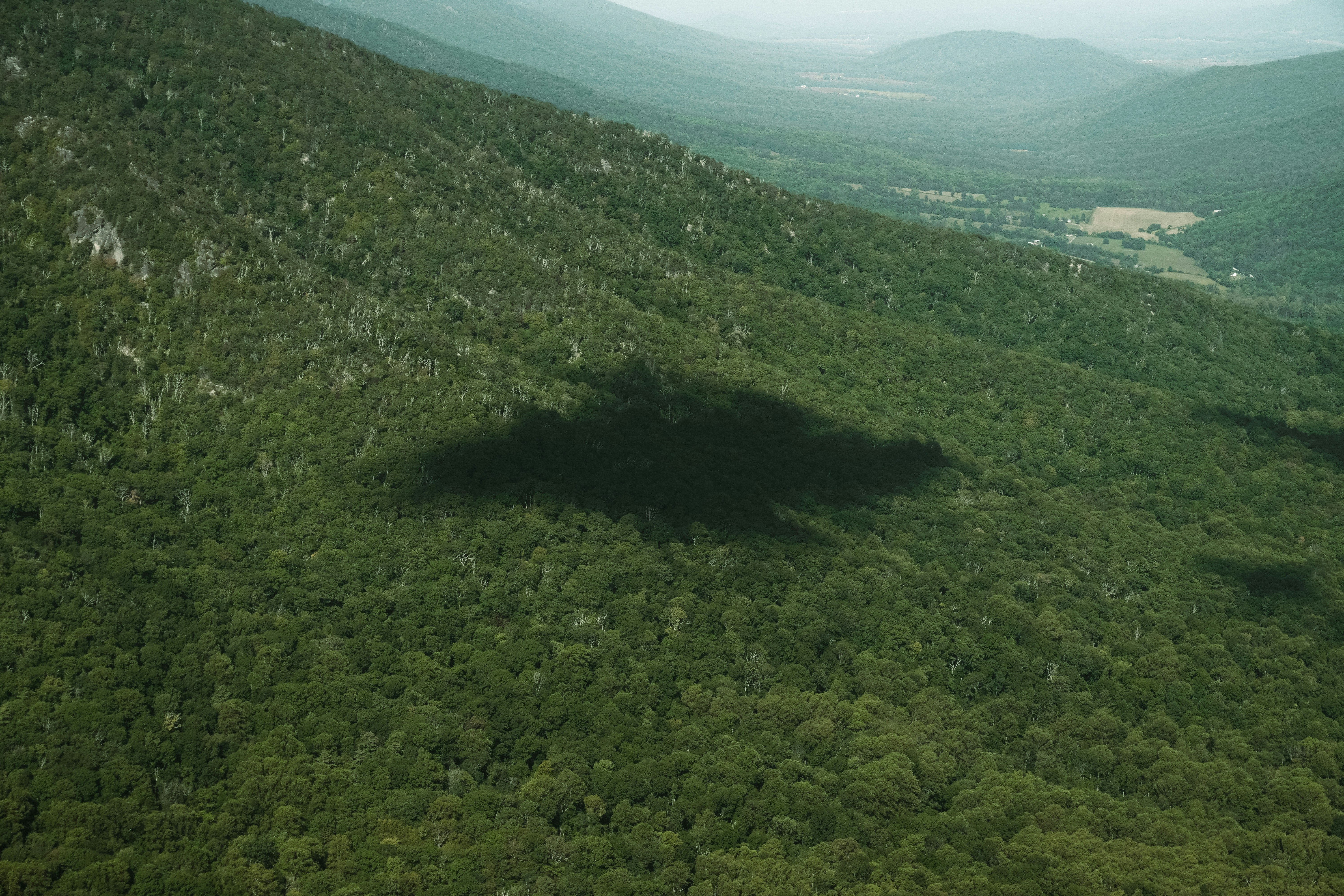 Shadow on a densely forested mountain slope