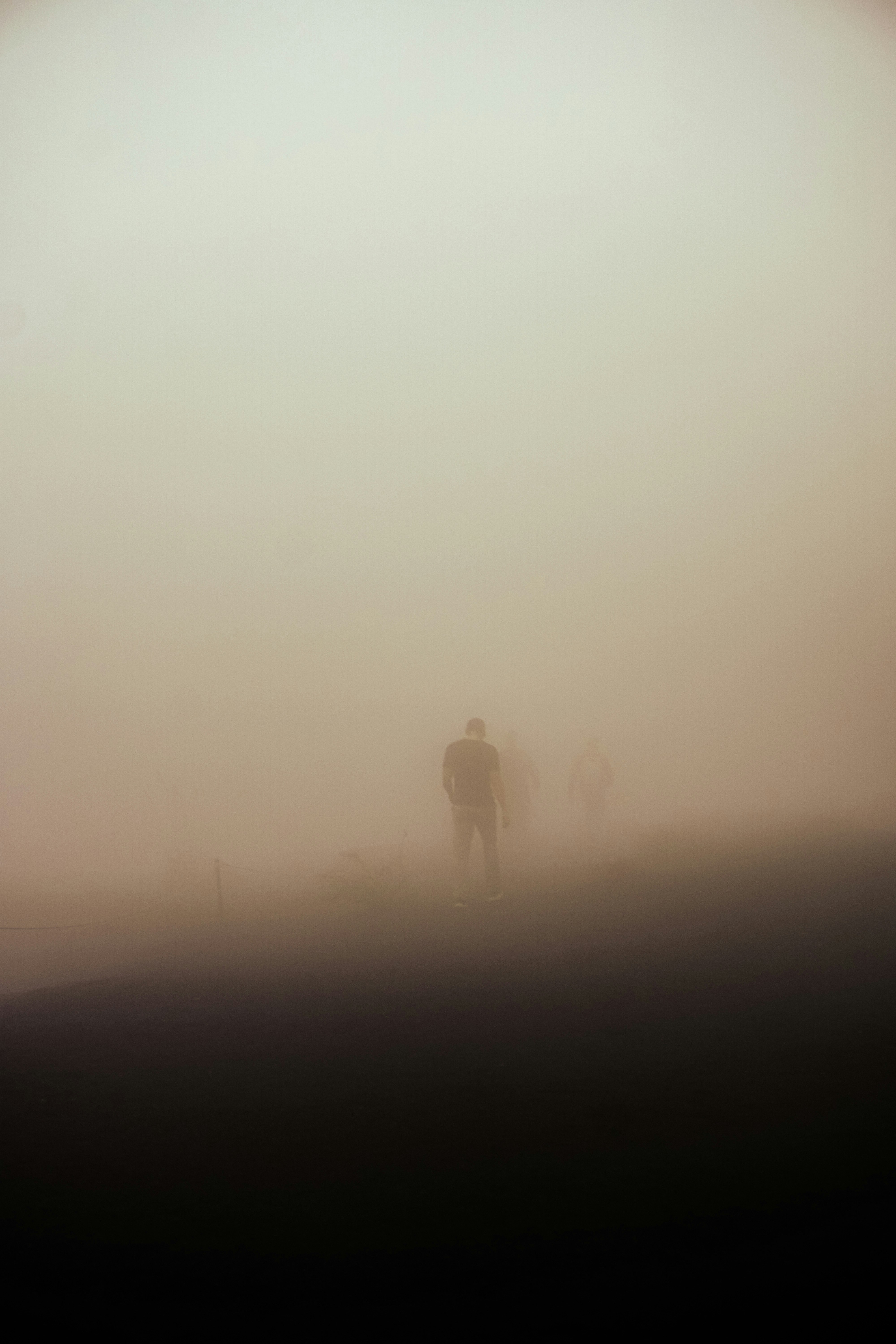 Silhouettes of people walking in dense fog.