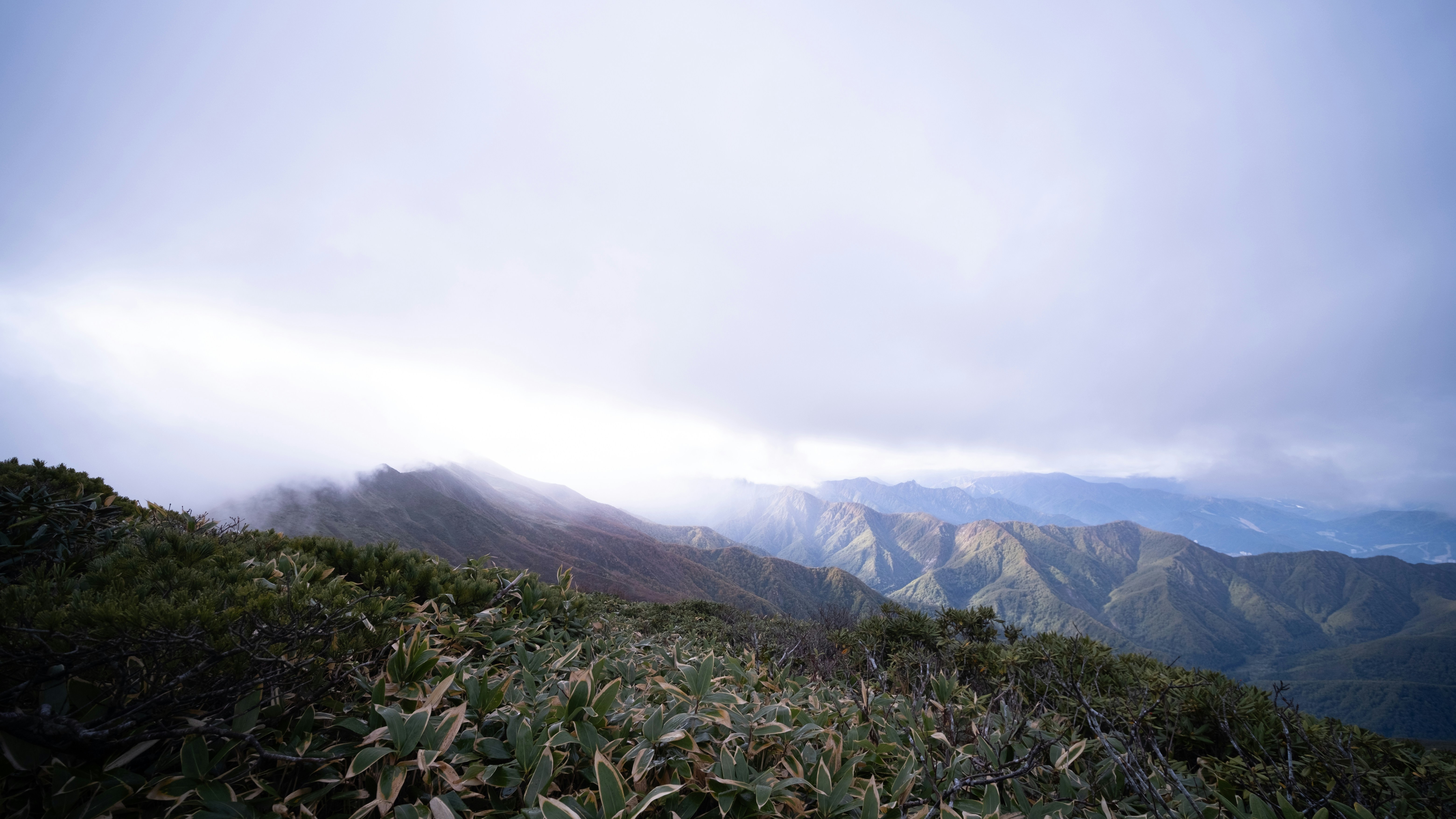 Misty mountains covered in lush green vegetation.