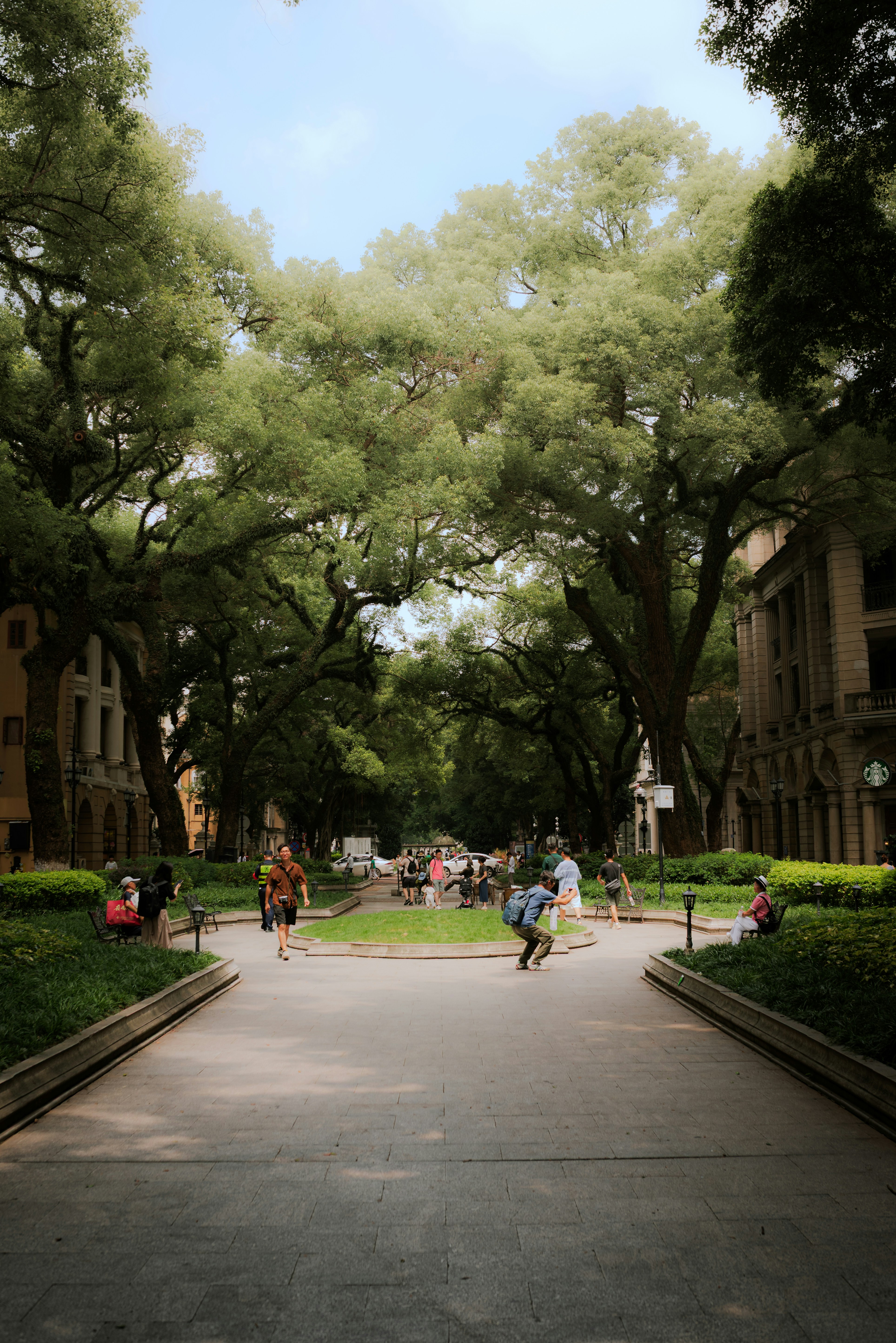 People strolling through a lush park with large trees.