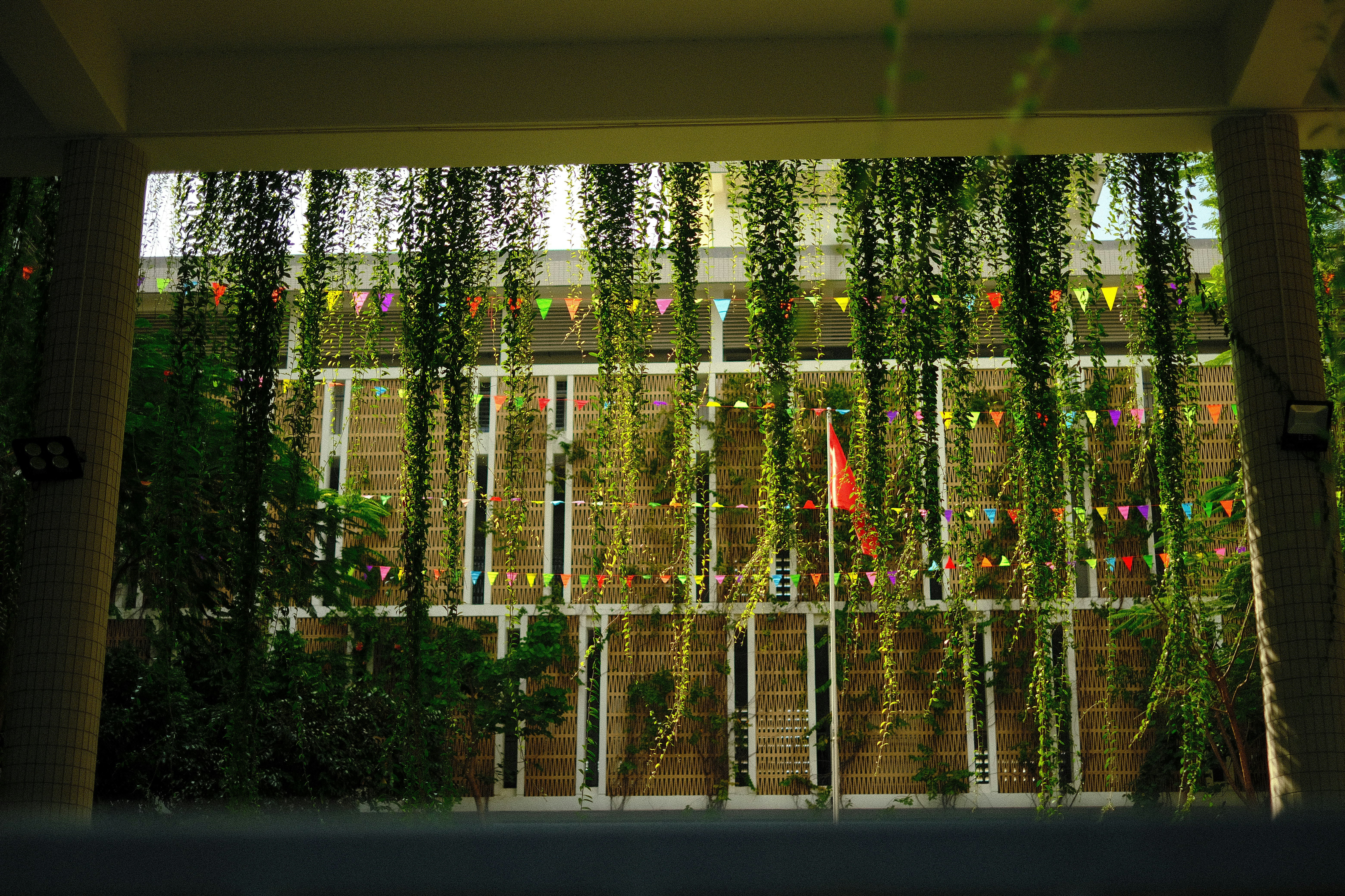 Building facade with hanging plants and bunting