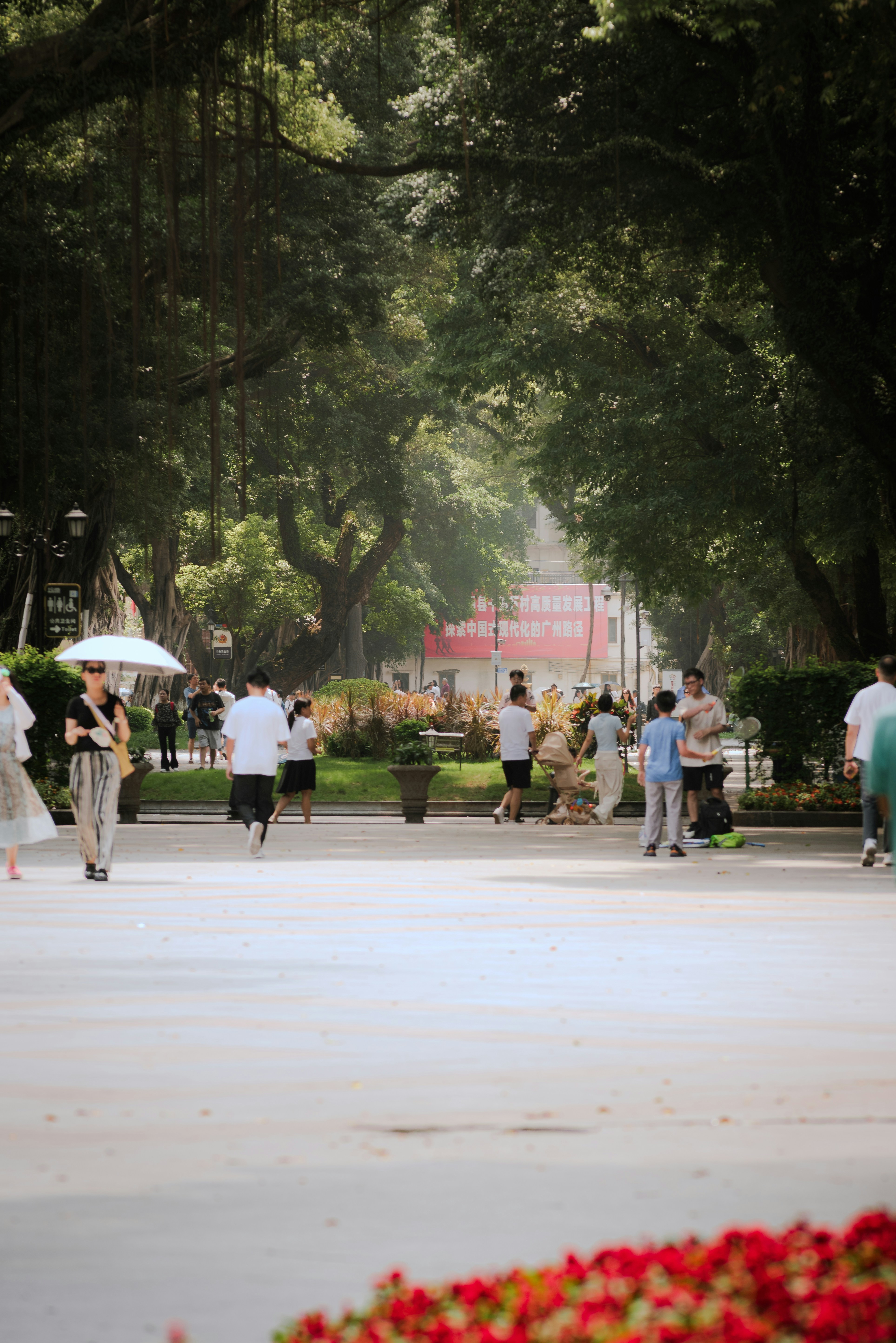 People walking on a tree-lined park path