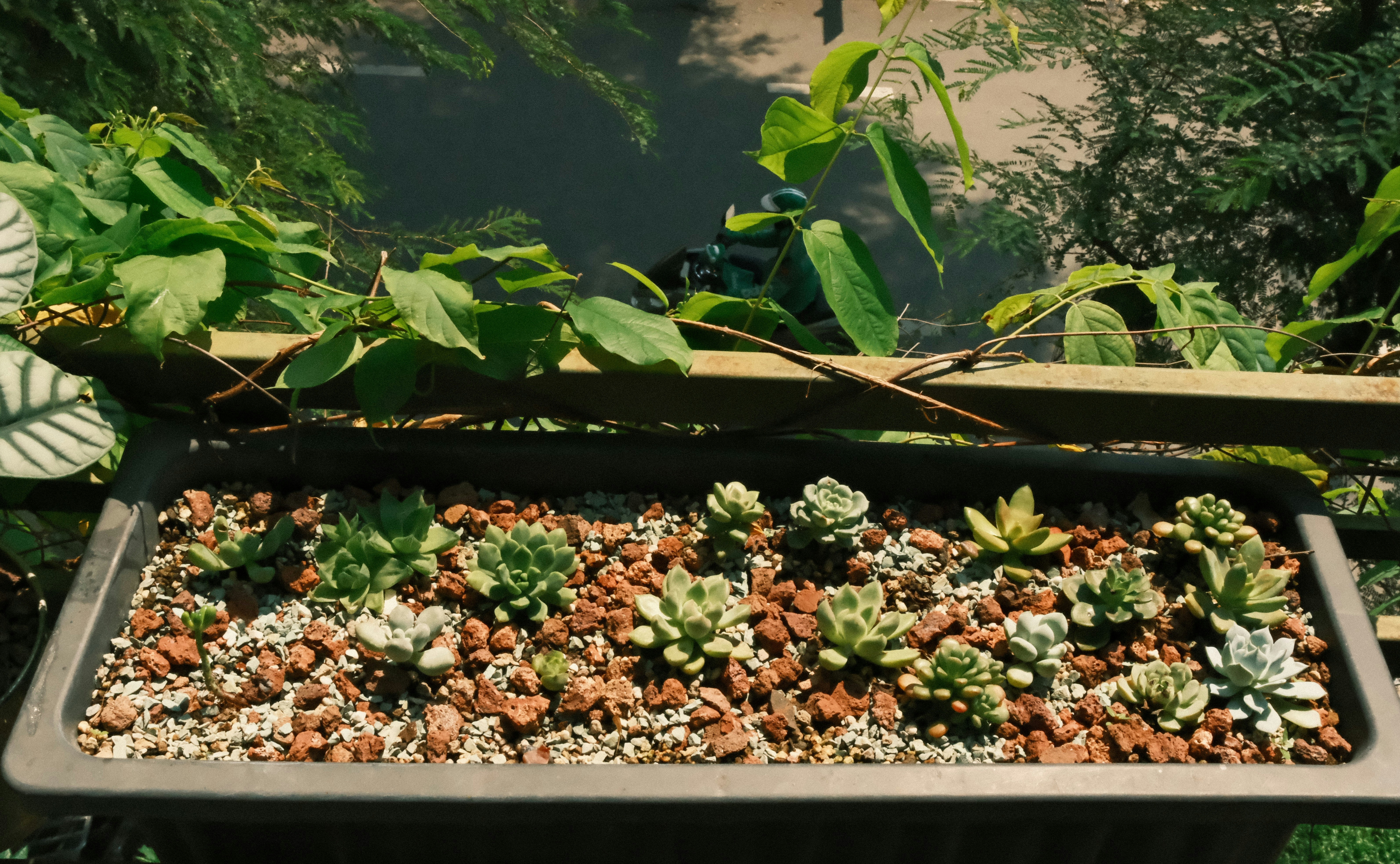 HVAC Maintenance Tips: Extend Your System's Life & Save Money