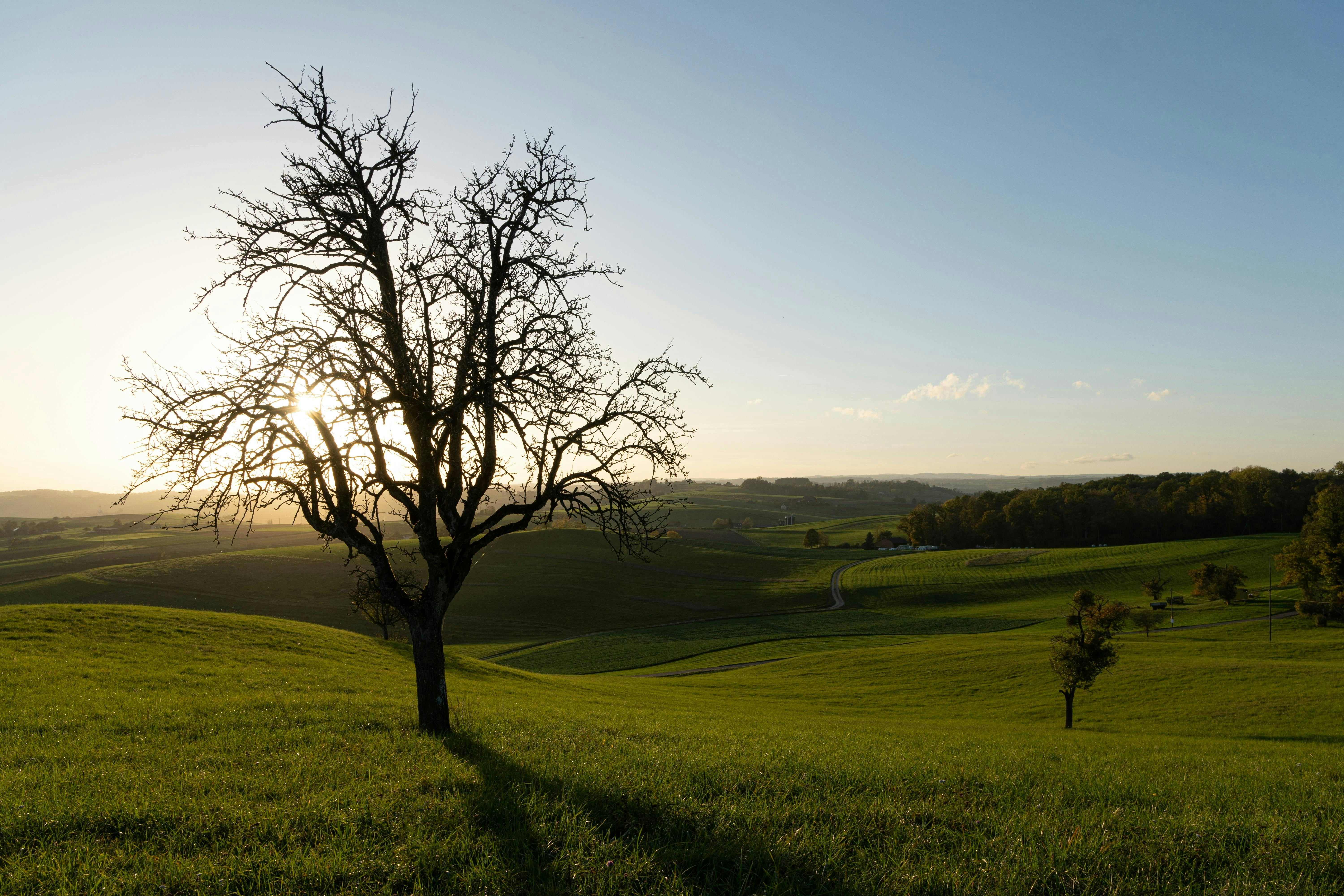 Photo by tanghourchhoeung