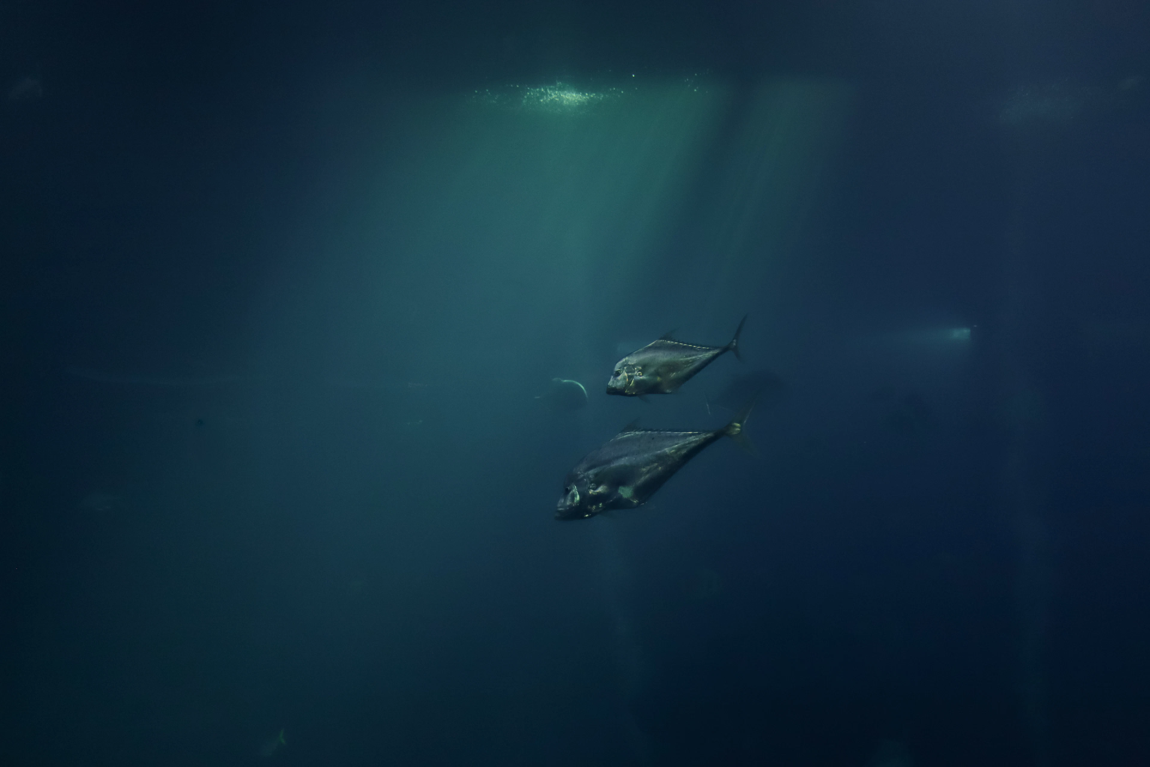 Chumphon Pinnacle