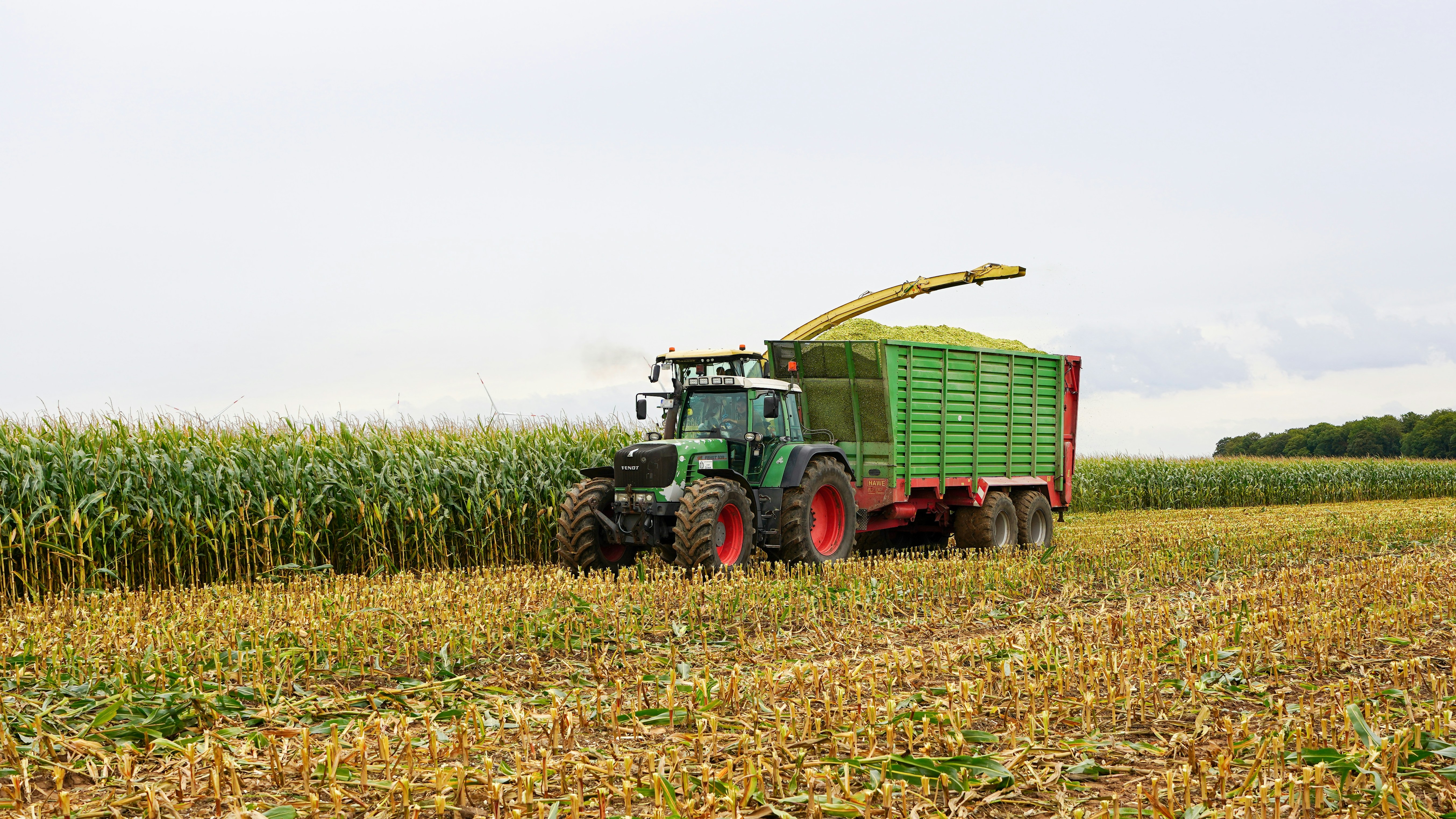 Photo by hamburgmeinefreundin