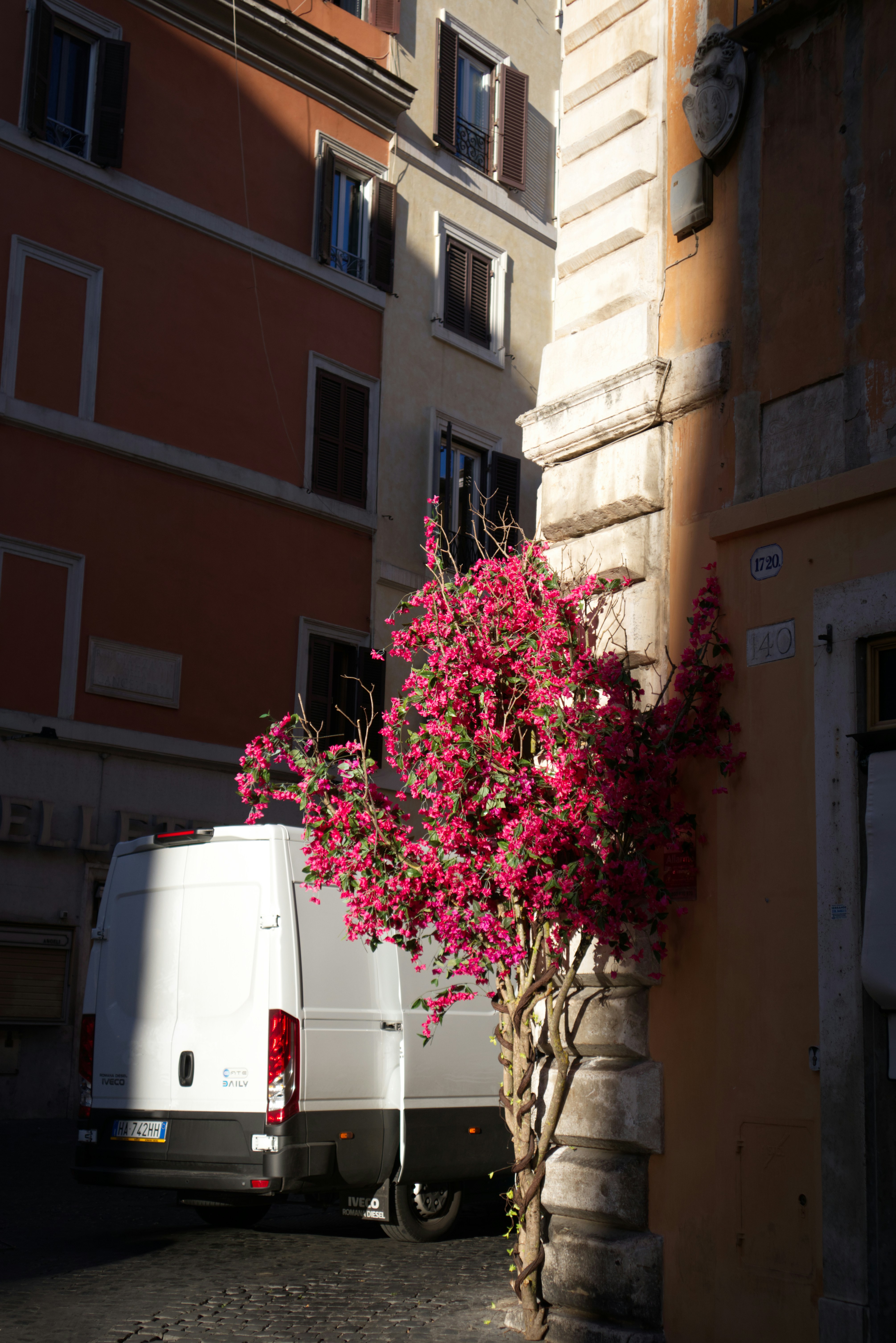 White van parked near a building with pink flowers.