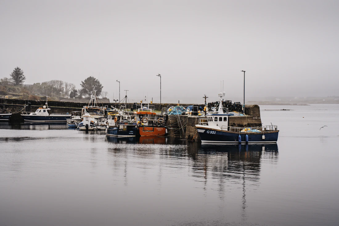 Fiskerbåde i havnen en diset morgen