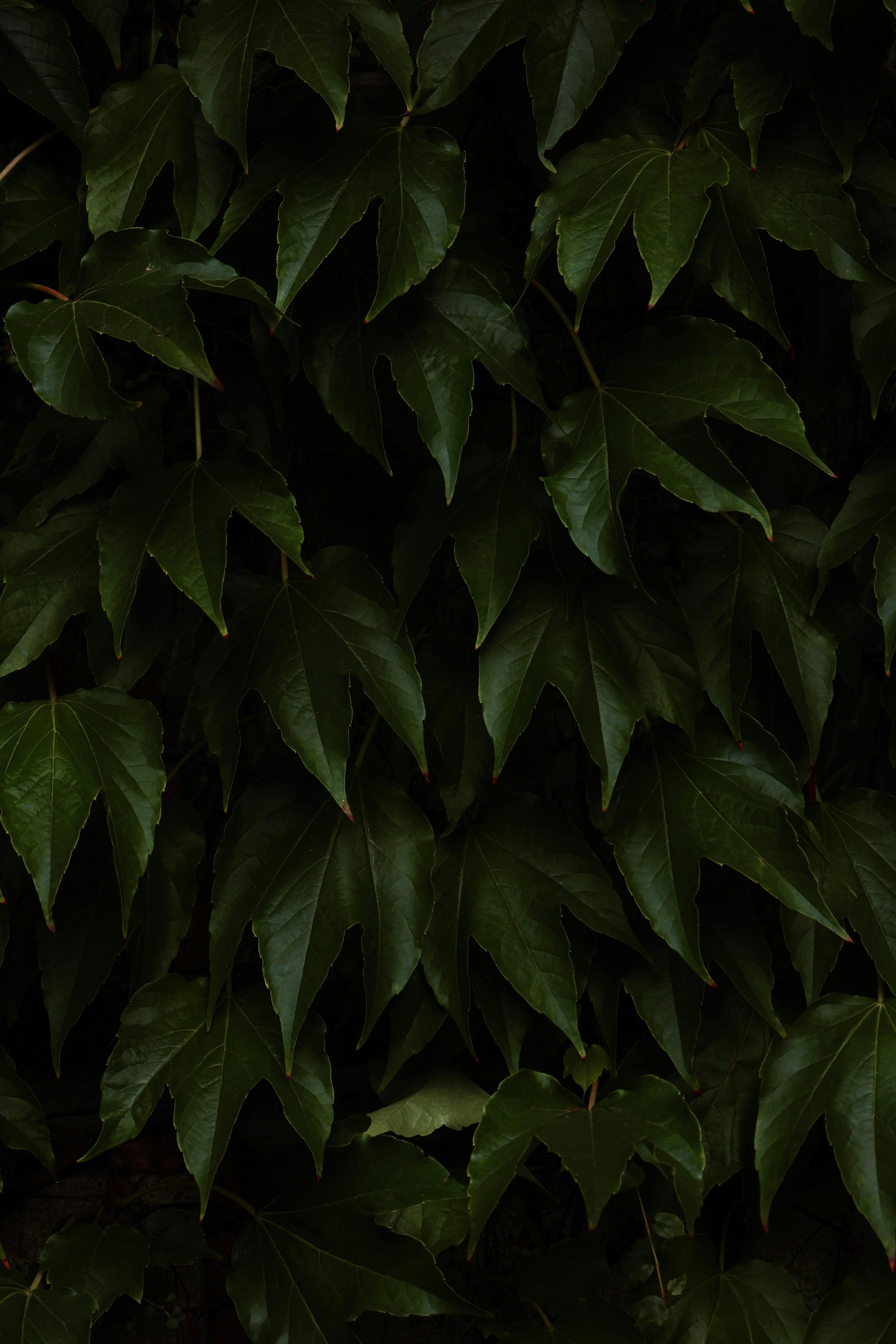 Photo by _piscolino_