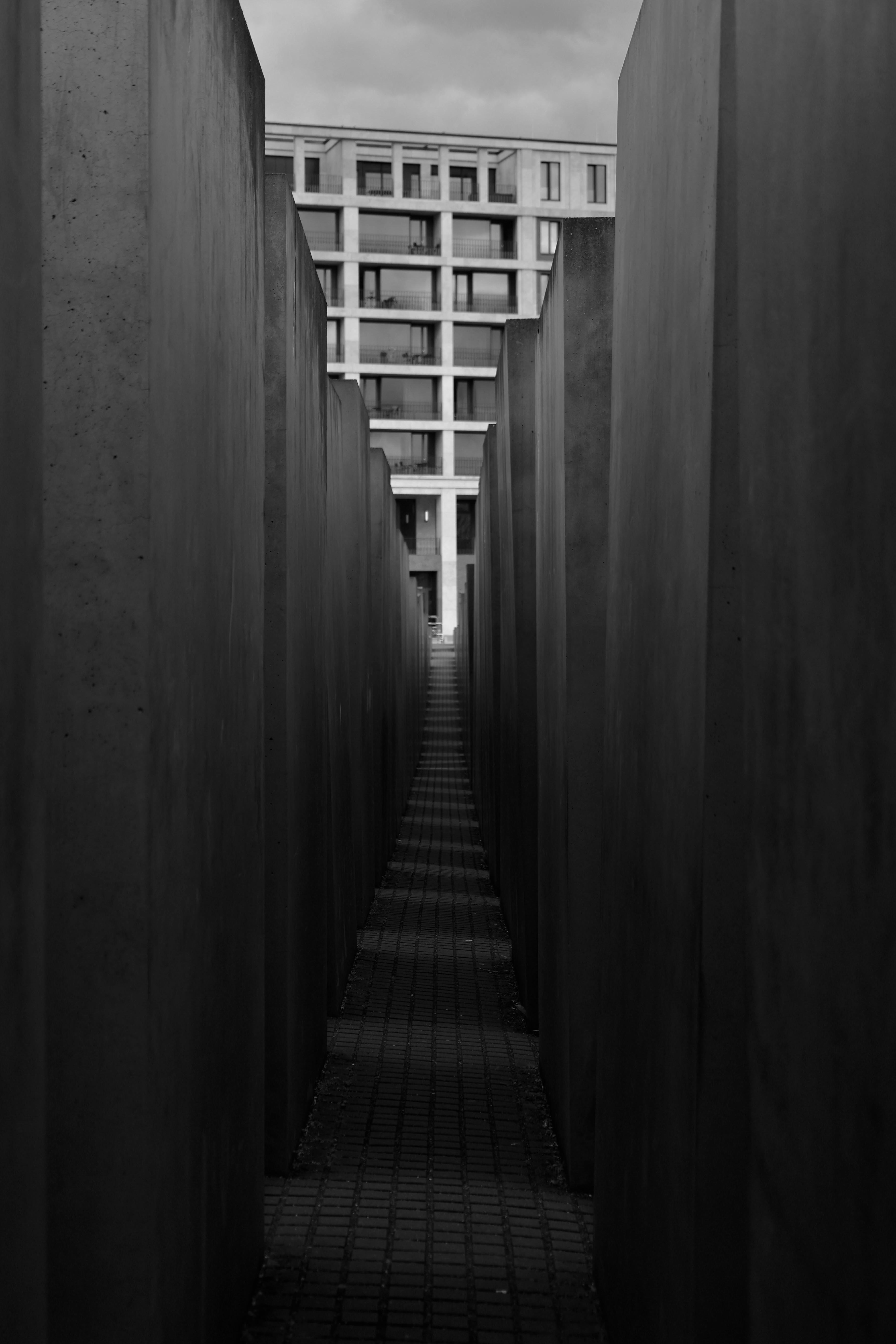 Photo by _piscolino_