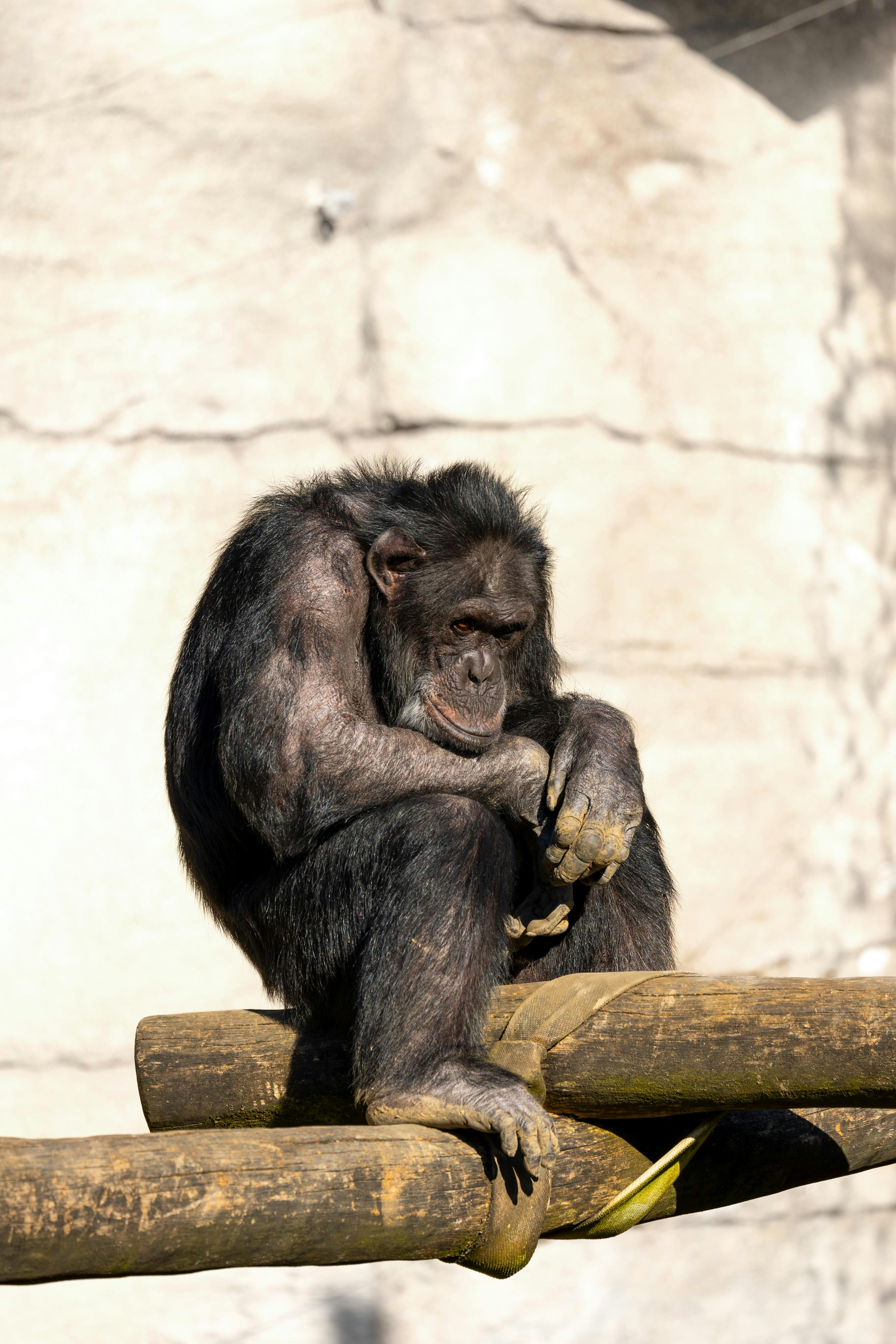 Photo by _piscolino_