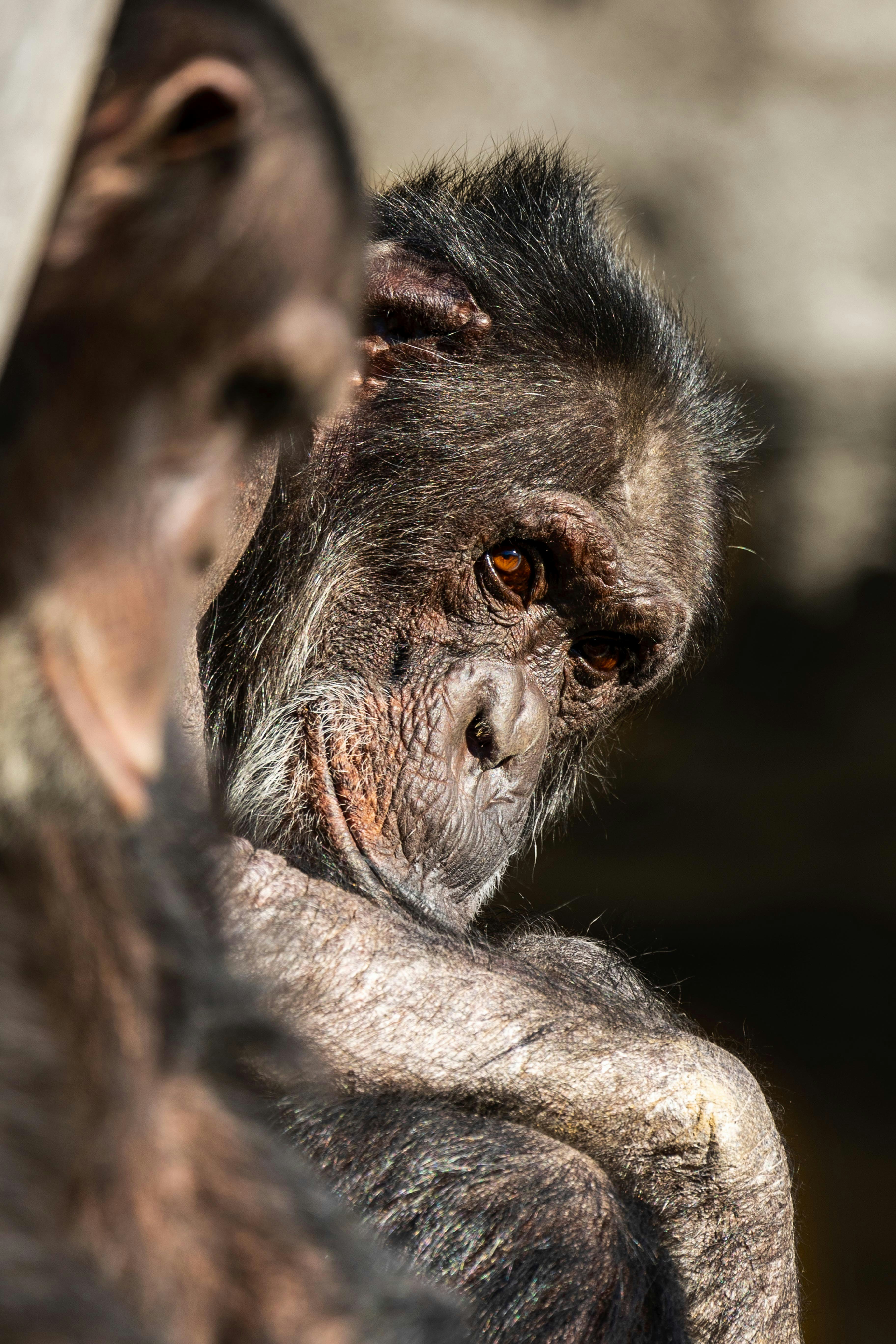 Photo by _piscolino_