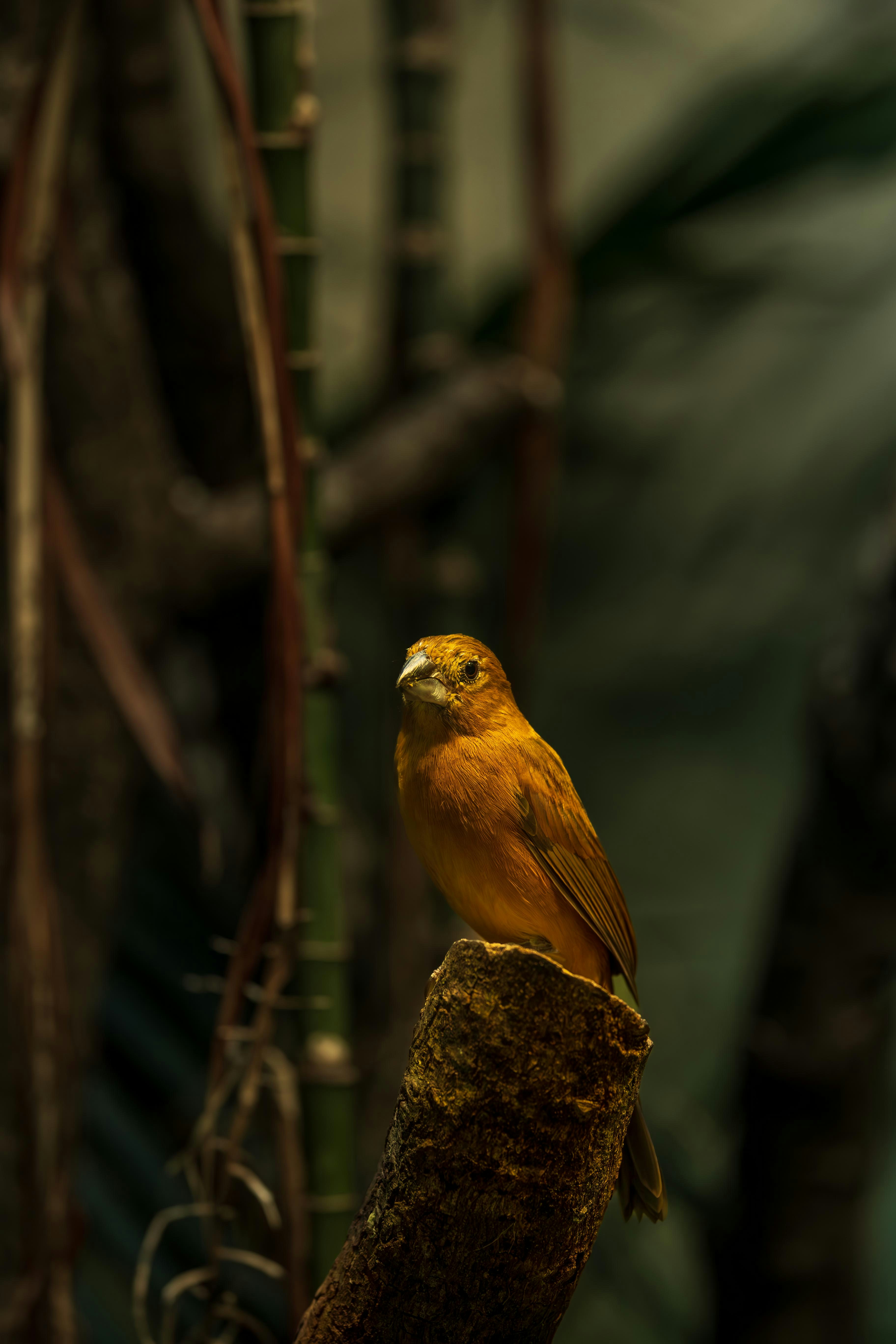 Photo by _piscolino_