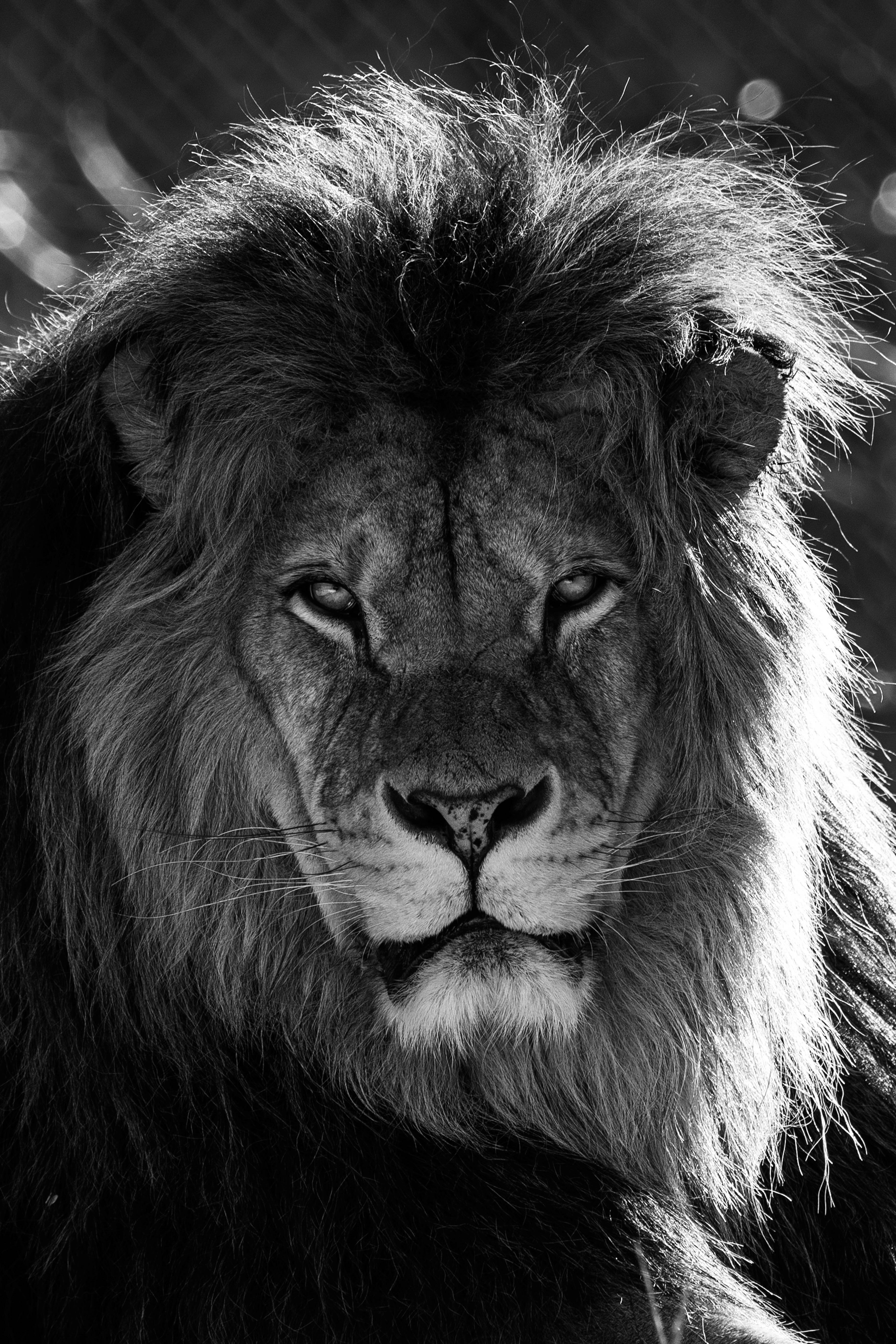 Photo by _piscolino_