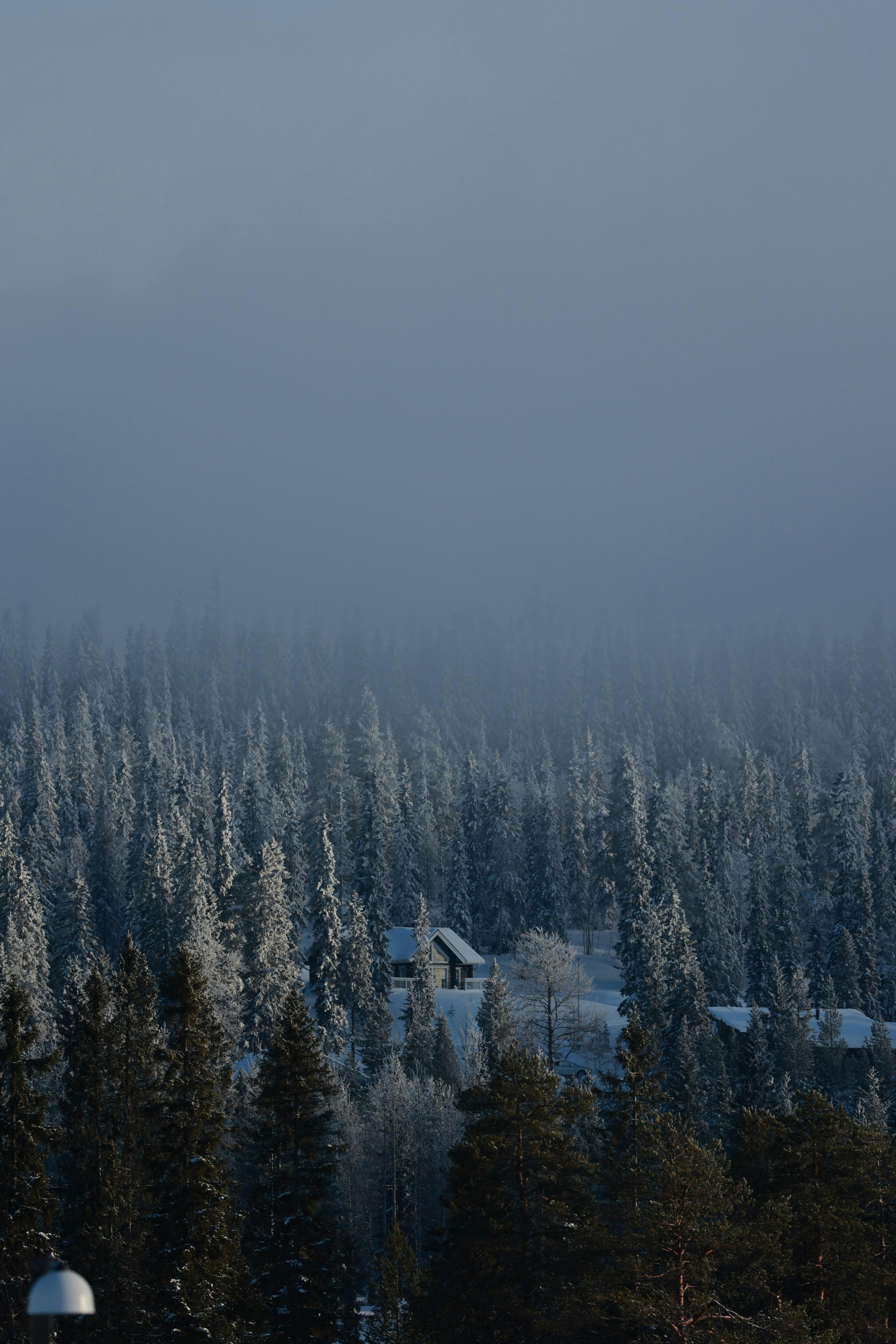 Photo by _piscolino_